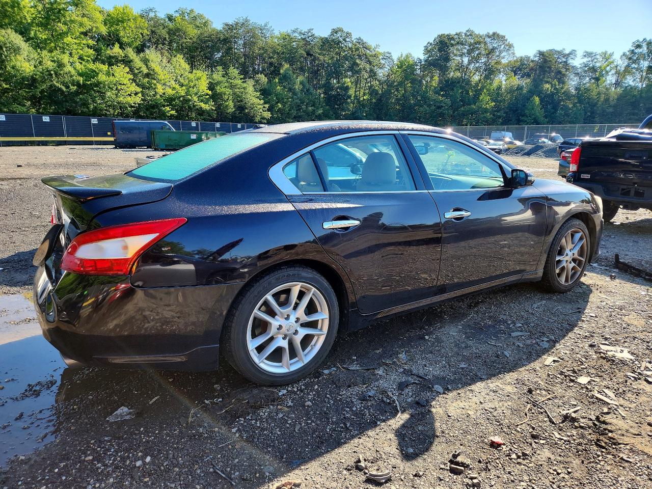 2011 Nissan Maxima 3.5 S Purple vin: 1N4AA5AP6BC841936
