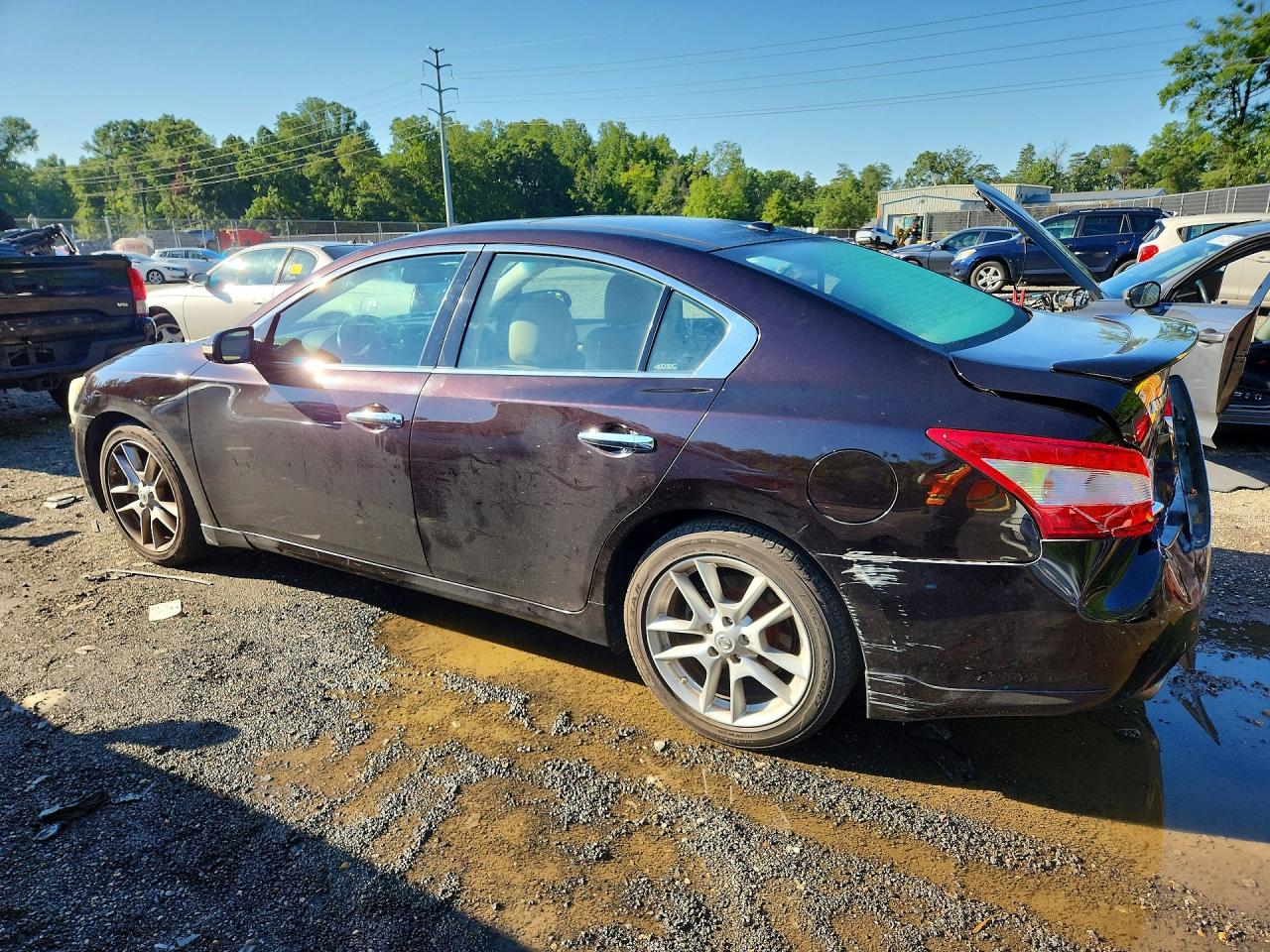 2011 Nissan Maxima 3.5 S Purple vin: 1N4AA5AP6BC841936