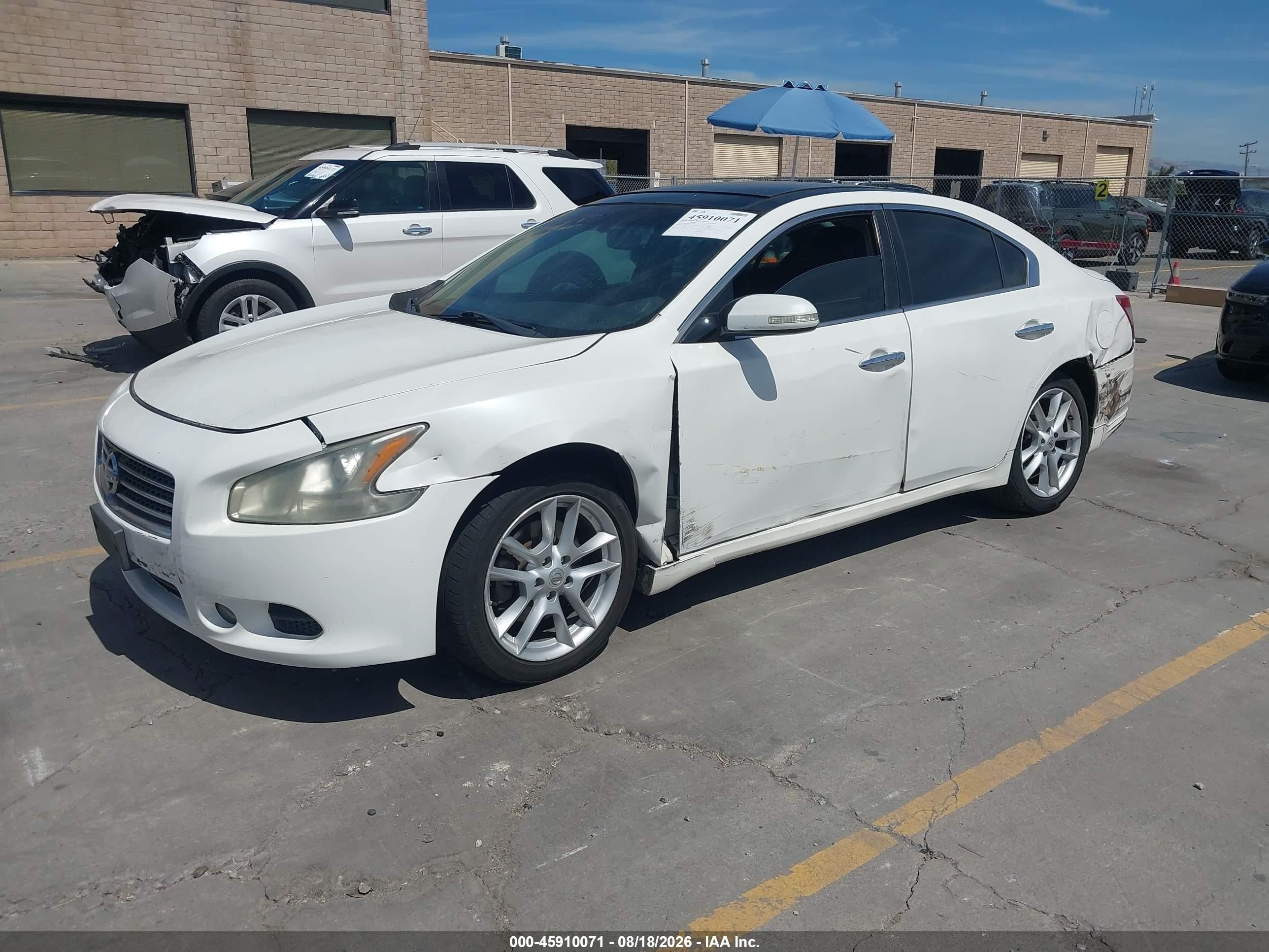 2011 Nissan Maxima 3.5 Sv White vin: 1N4AA5AP6BC849809