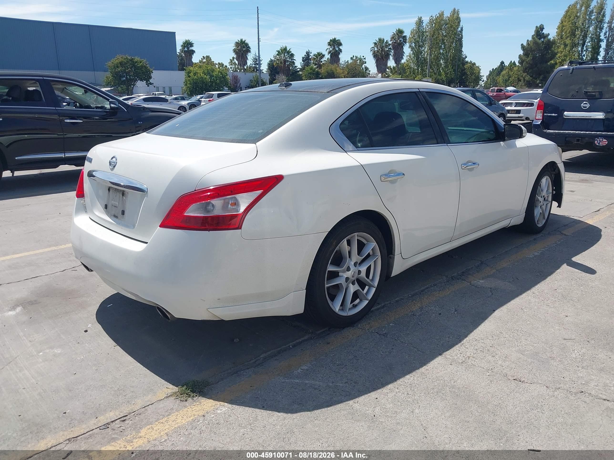 2011 Nissan Maxima 3.5 Sv White vin: 1N4AA5AP6BC849809