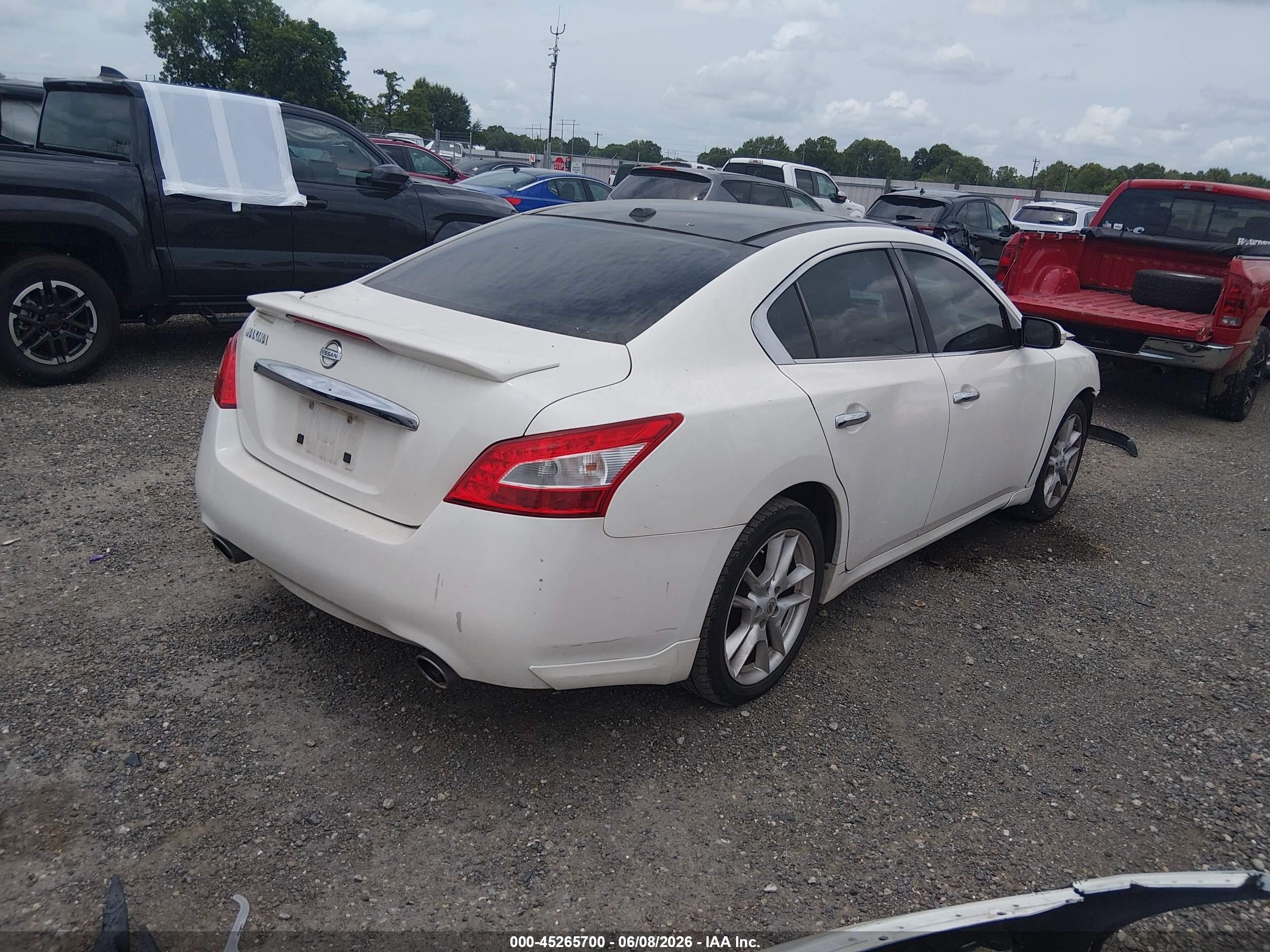 2011 Nissan Maxima 3.5 Sv White vin: 1N4AA5AP6BC855593