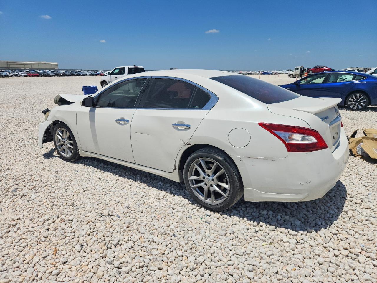 2011 Nissan Maxima White vin: 1N4AA5AP6BC863225