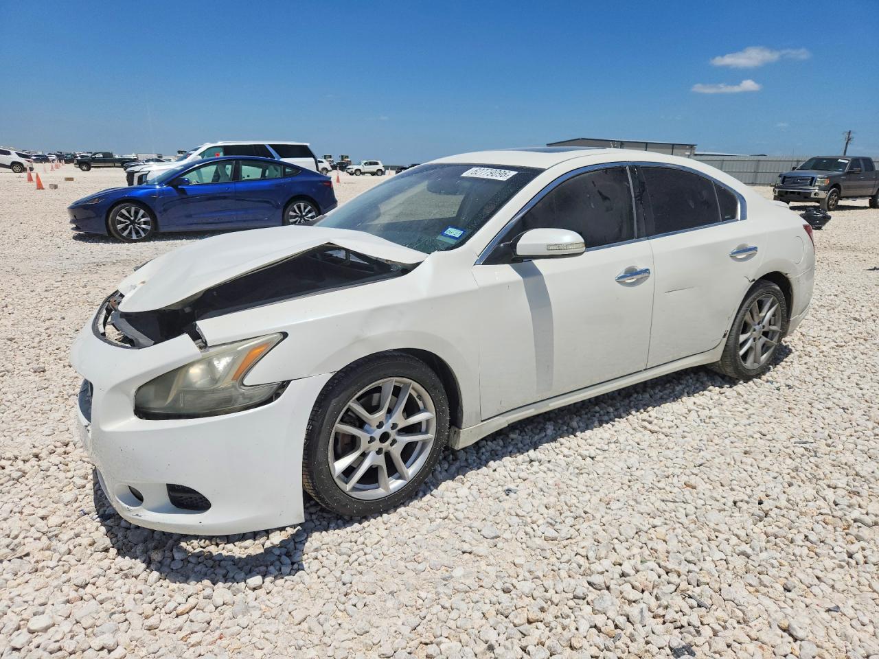 2011 Nissan Maxima Белый vin: 1N4AA5AP6BC863225