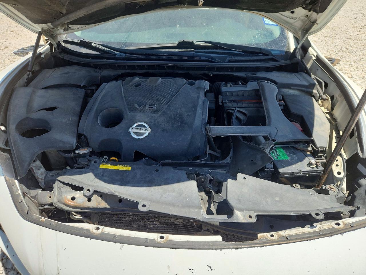 2011 Nissan Maxima White vin: 1N4AA5AP6BC863225