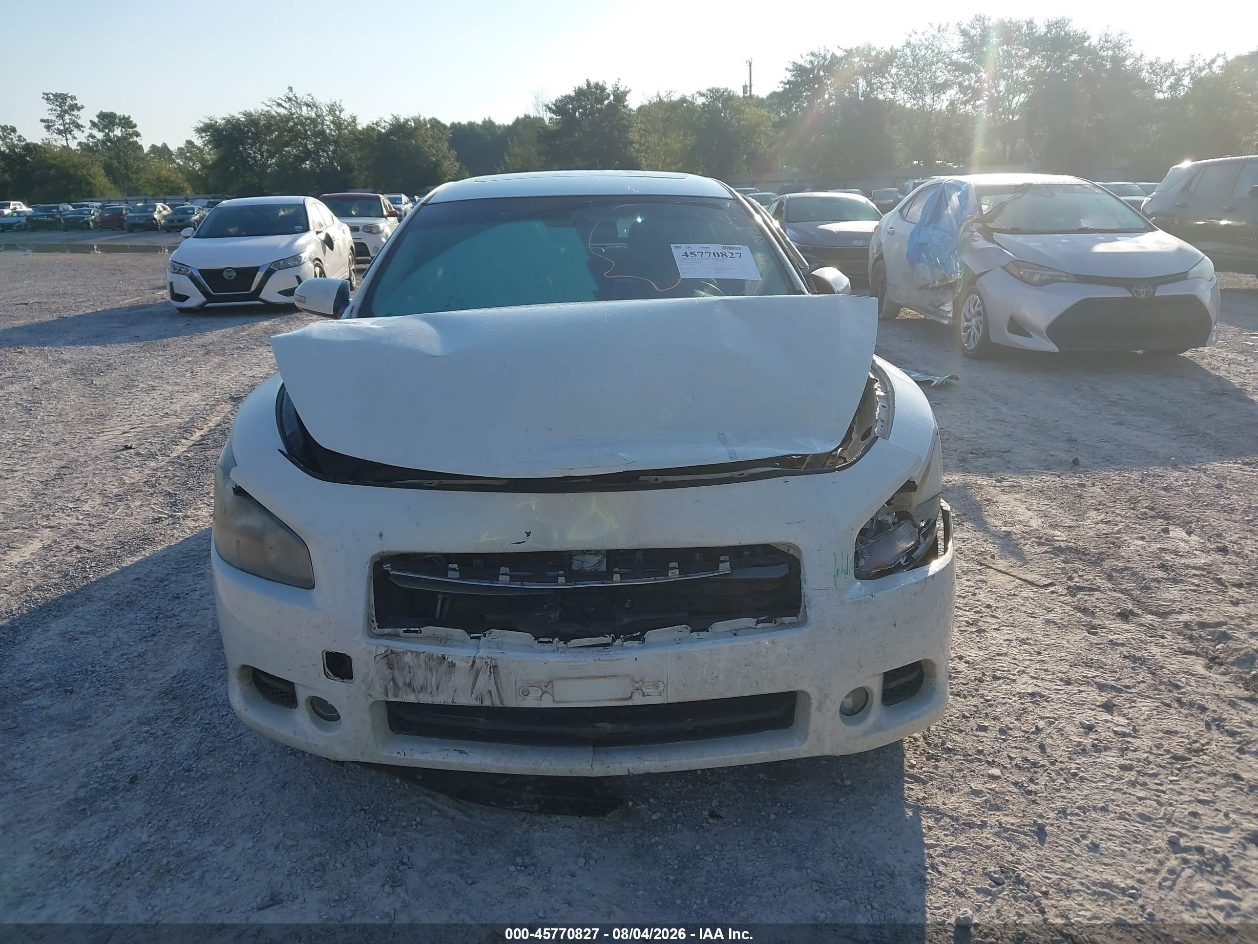 2013 Nissan Maxima 3.5 Sv Белый vin: 1N4AA5AP6DC810690