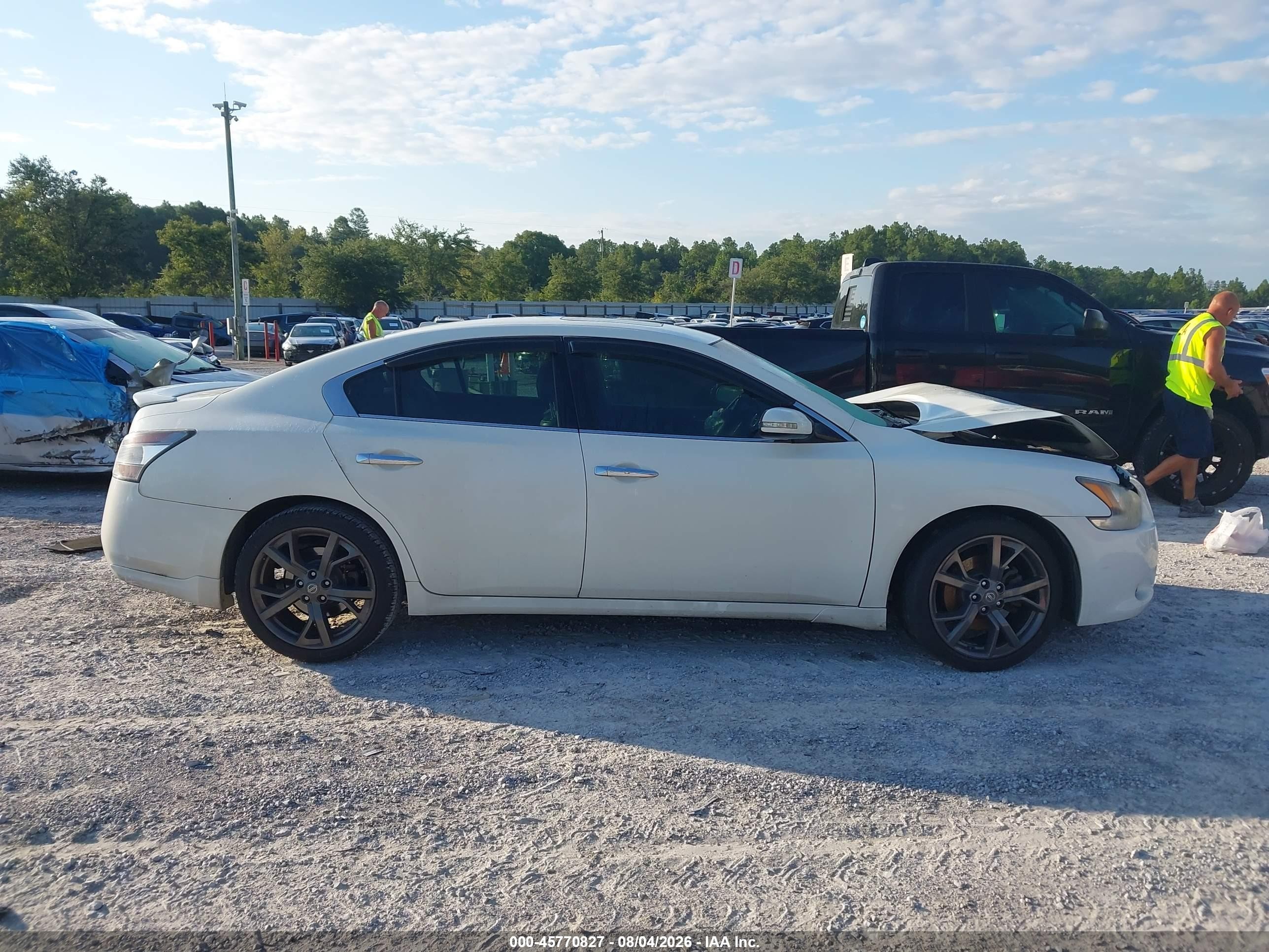 2013 Nissan Maxima 3.5 Sv Белый vin: 1N4AA5AP6DC810690