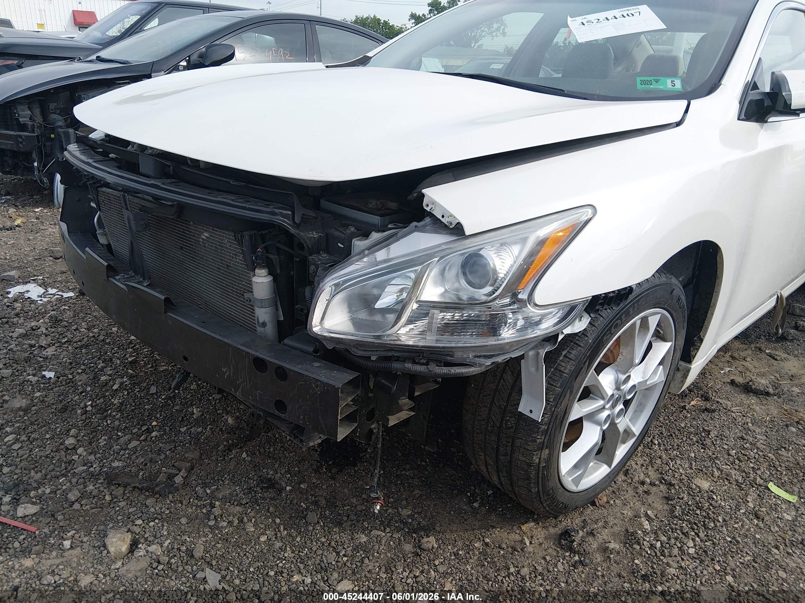 2013 Nissan Maxima 3.5 Sv White vin: 1N4AA5AP6DC823312