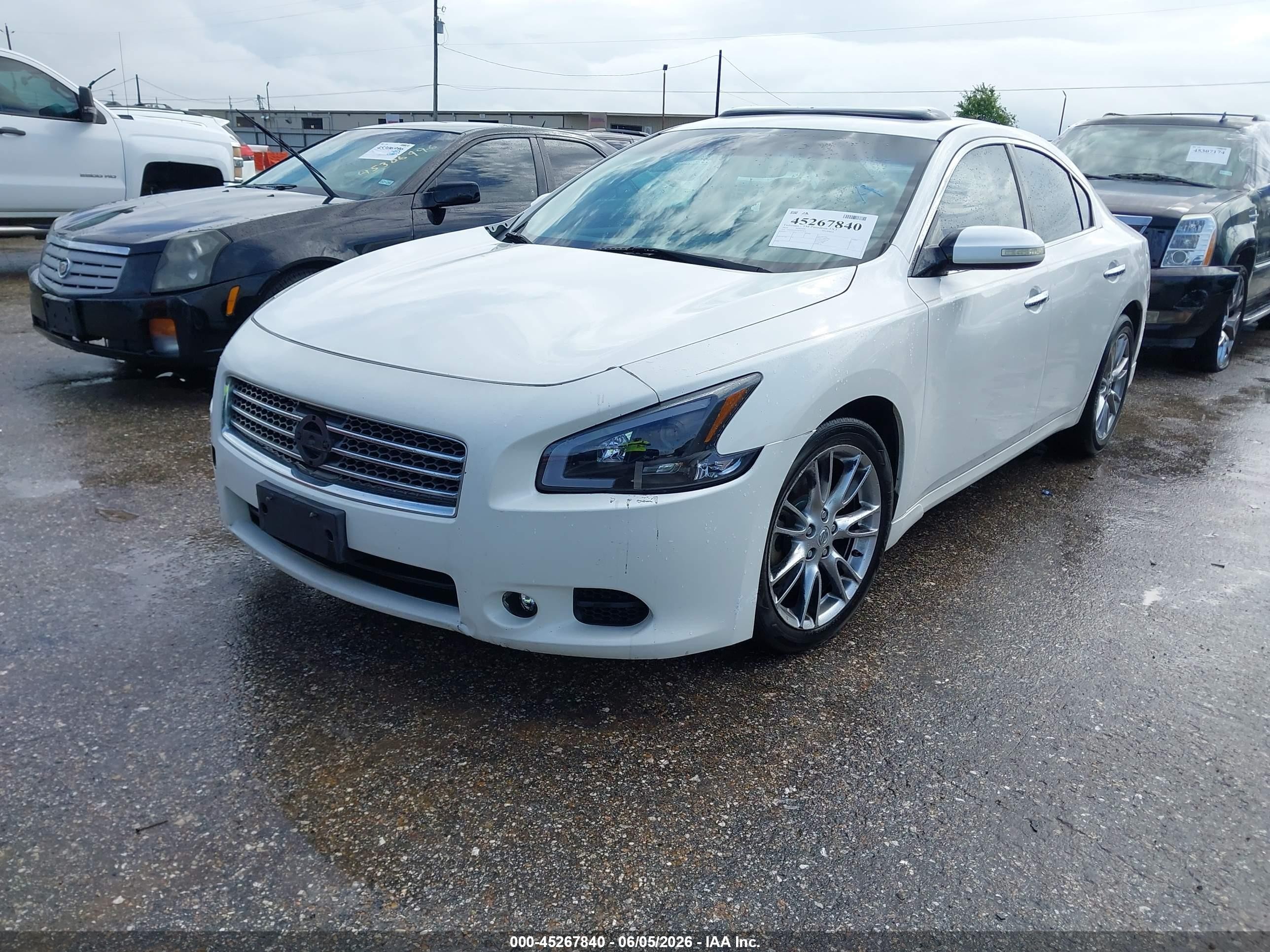2010 Nissan Maxima 3.5 Sv White vin: 1N4AA5AP7AC813478