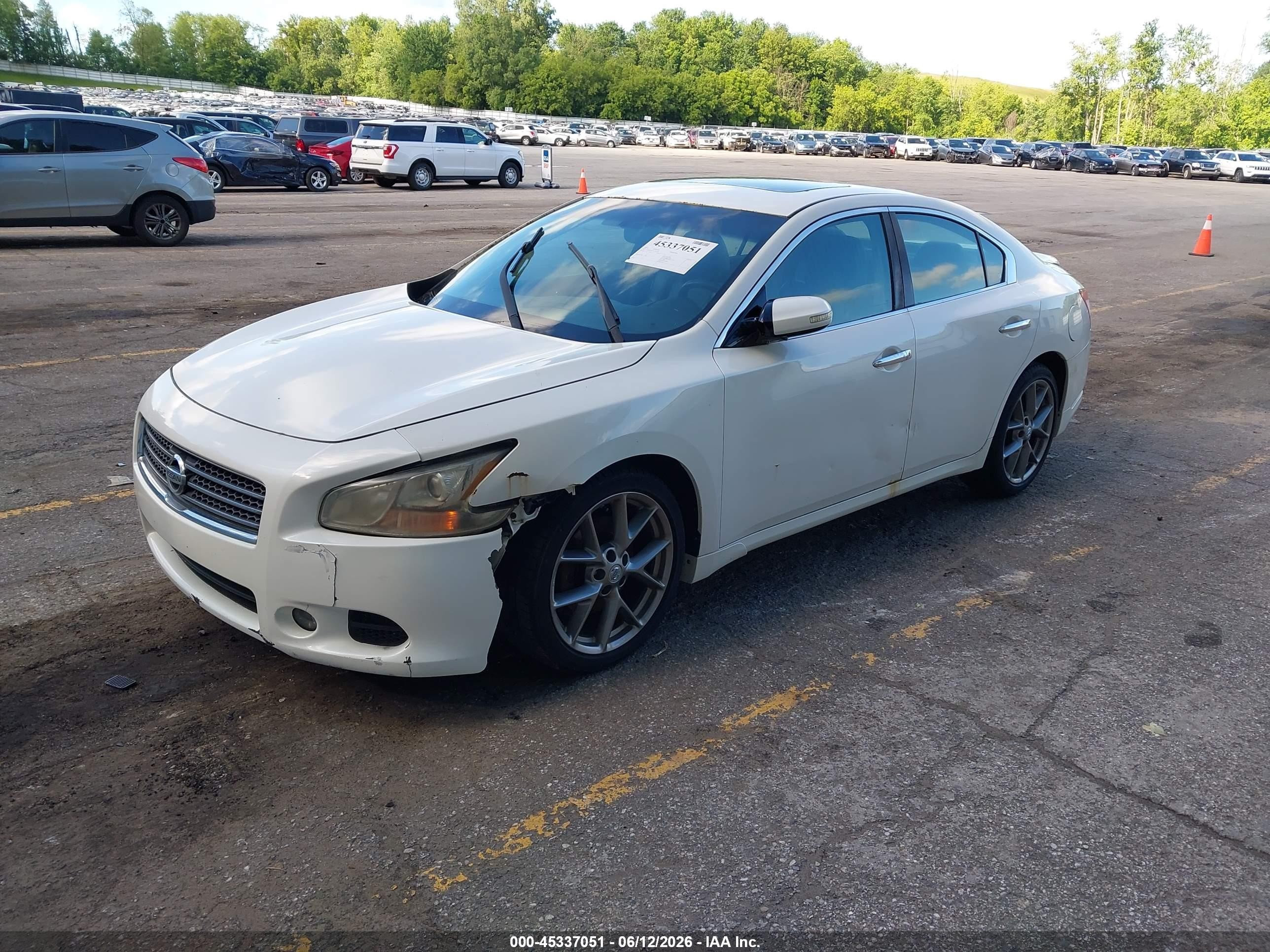 2010 Nissan Maxima 3.5 Sv White vin: 1N4AA5AP7AC814128