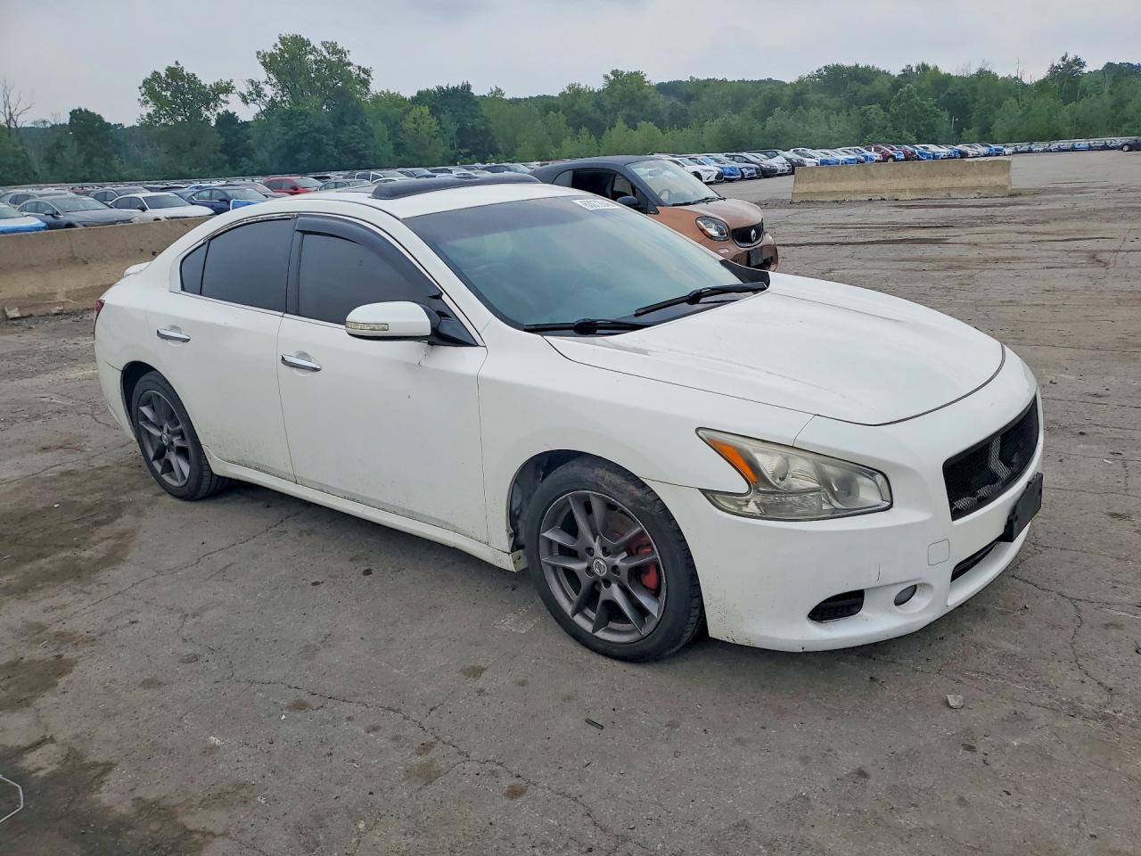 2010 Nissan Maxima 3.5 S White vin: 1N4AA5AP7AC830457