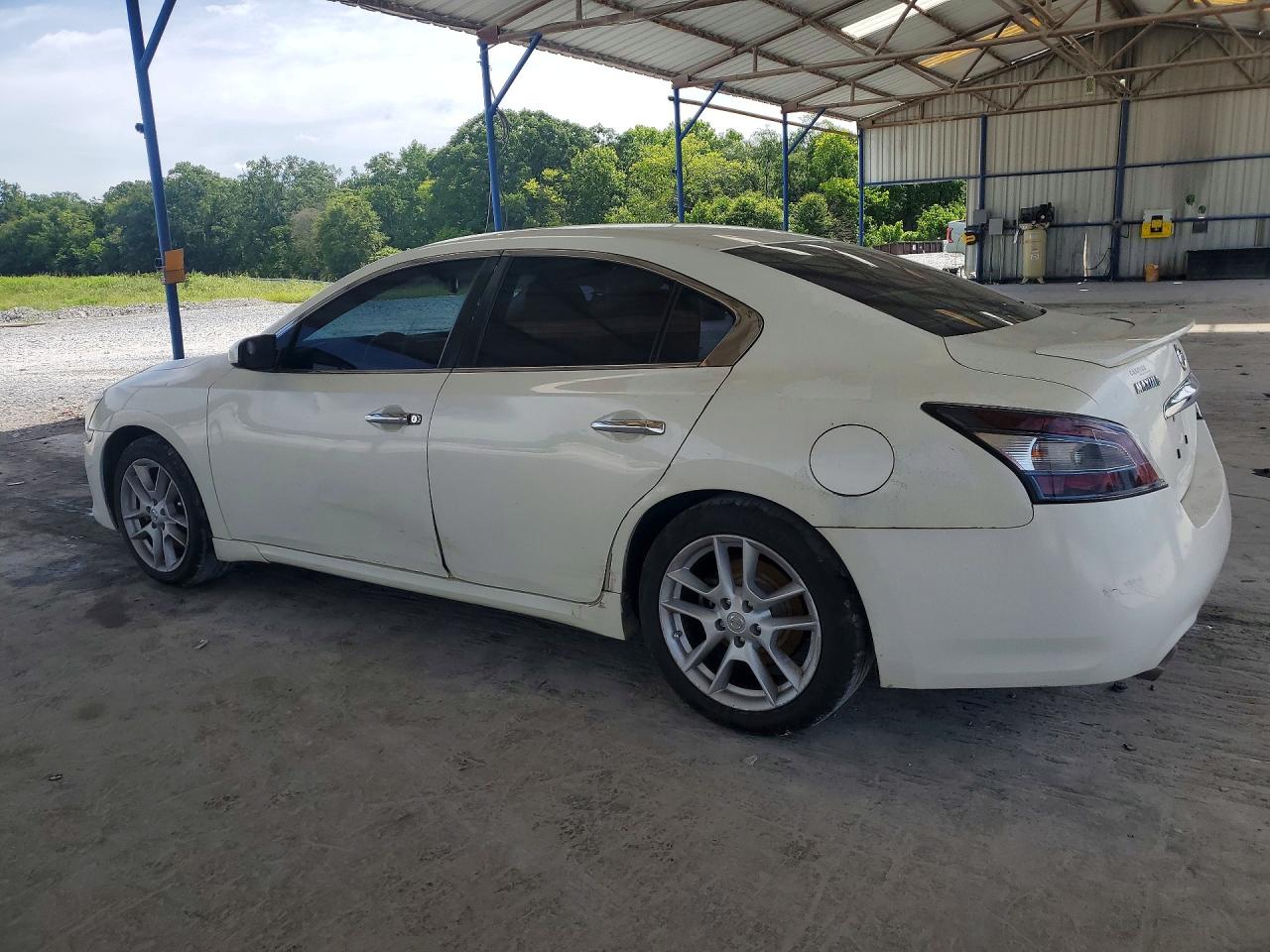 2010 Nissan Maxima 3.5 S Белый vin: 1N4AA5AP7AC837280