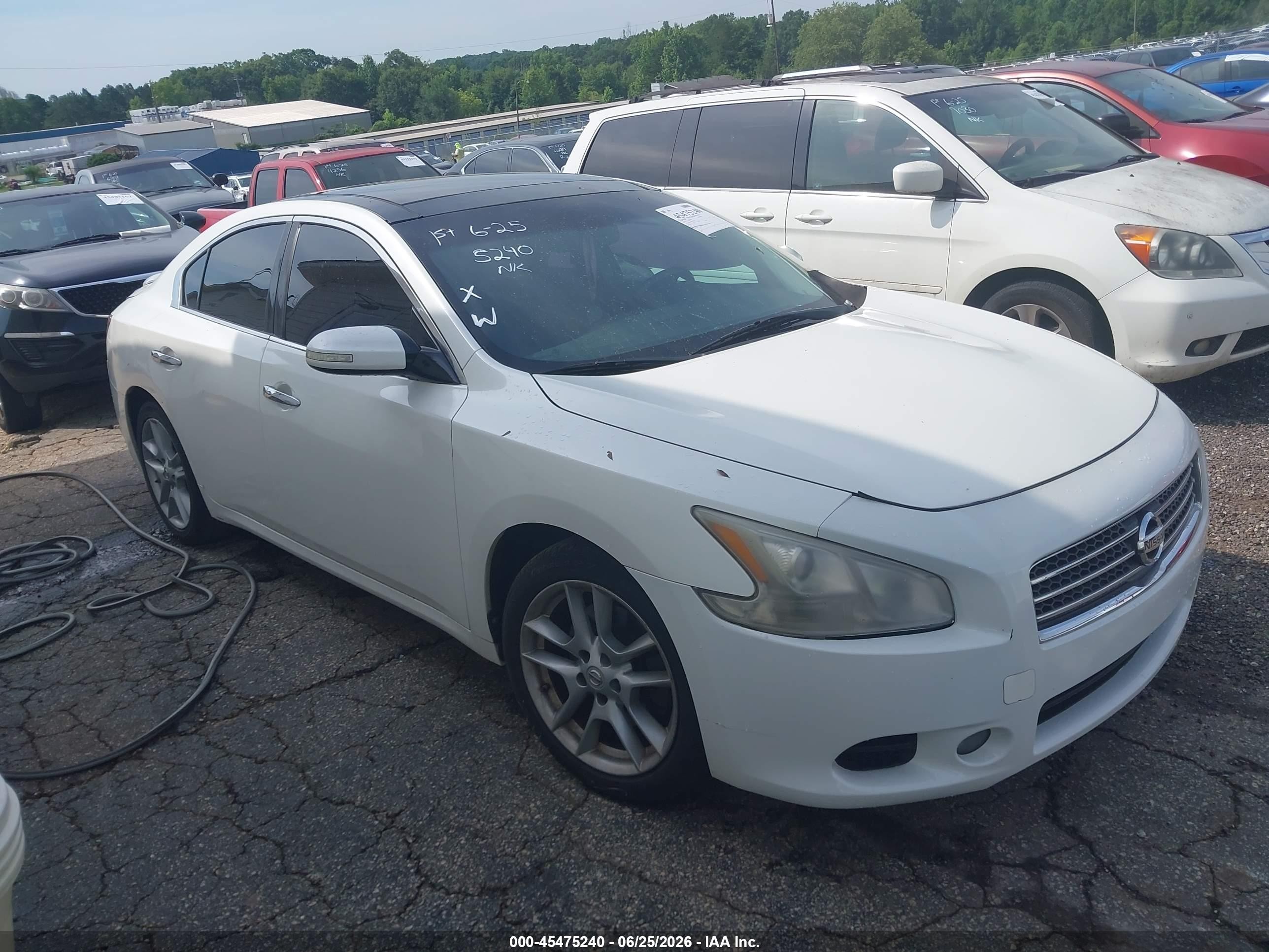 2010 Nissan Maxima 3.5 Sv White vin: 1N4AA5AP7AC849557