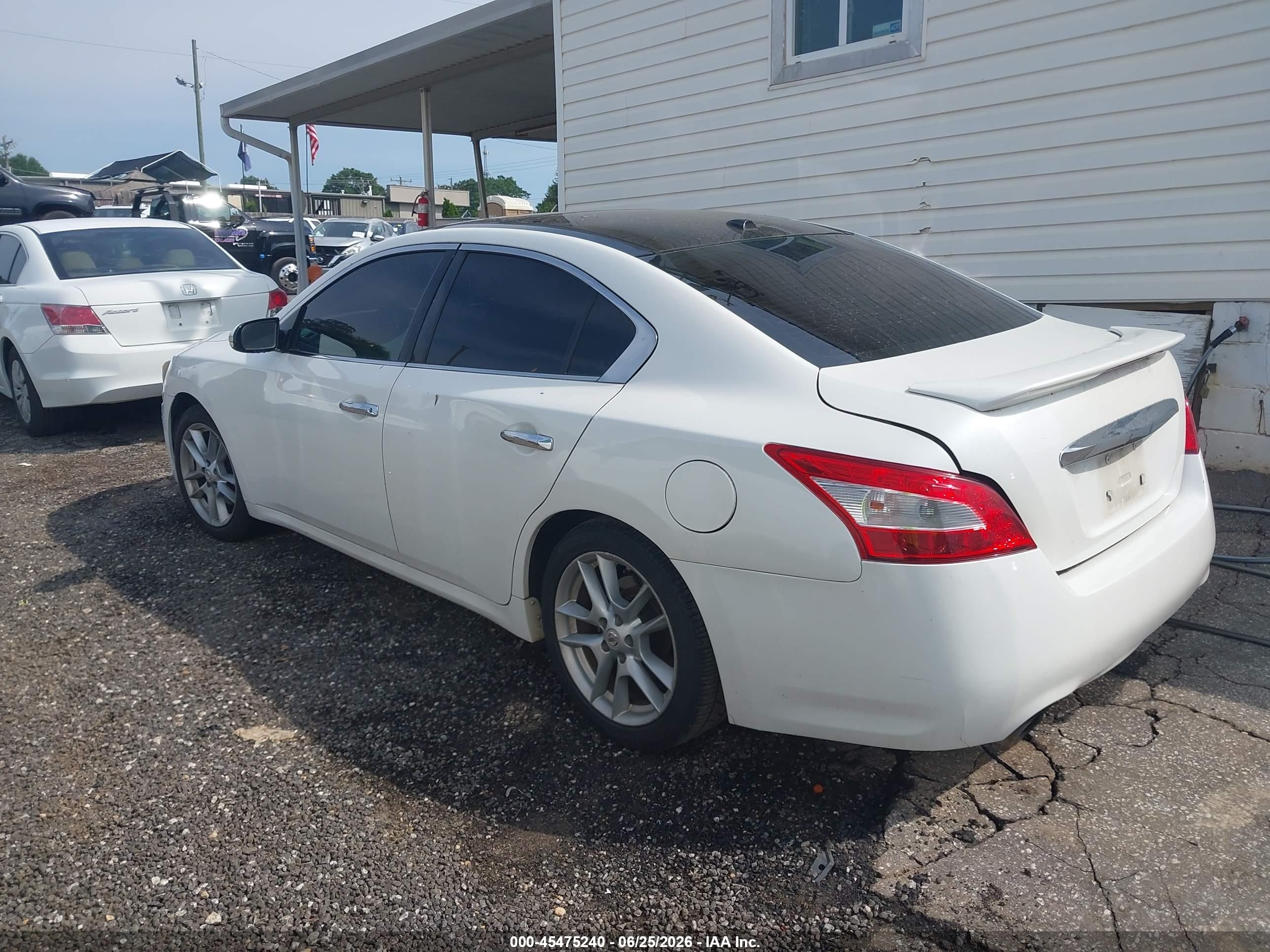 2010 Nissan Maxima 3.5 Sv White vin: 1N4AA5AP7AC849557