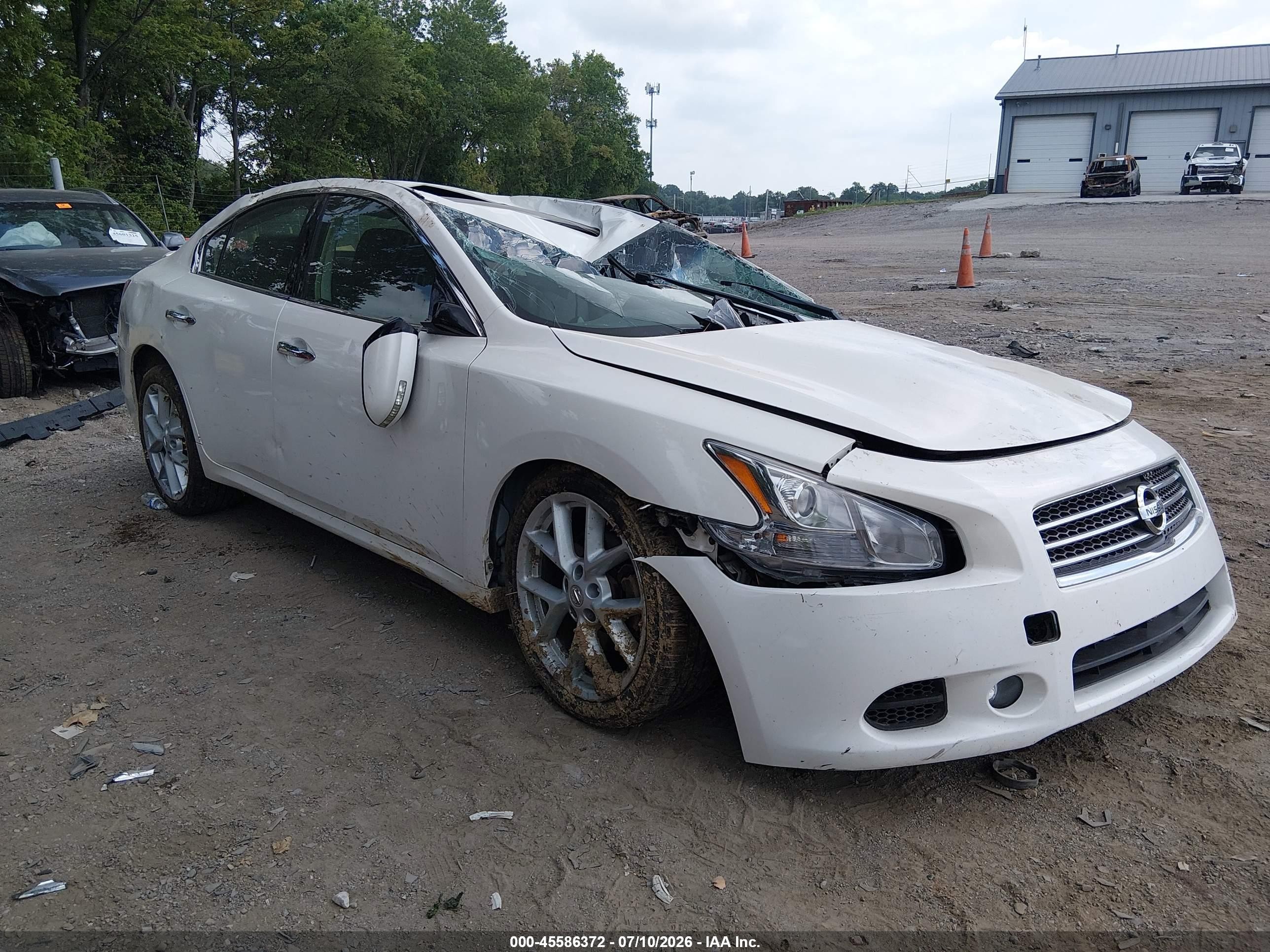 2010 Nissan Maxima 3.5 Sv White vin: 1N4AA5AP7AC861305