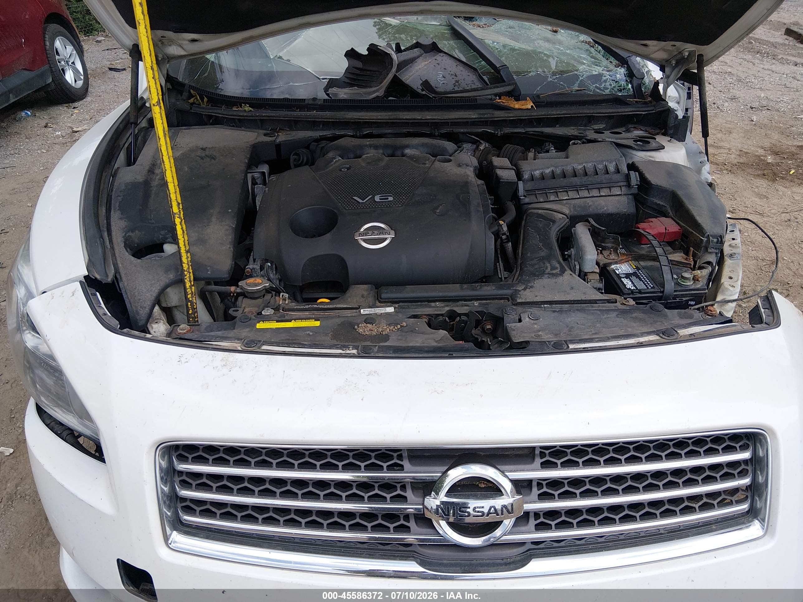 2010 Nissan Maxima 3.5 Sv White vin: 1N4AA5AP7AC861305