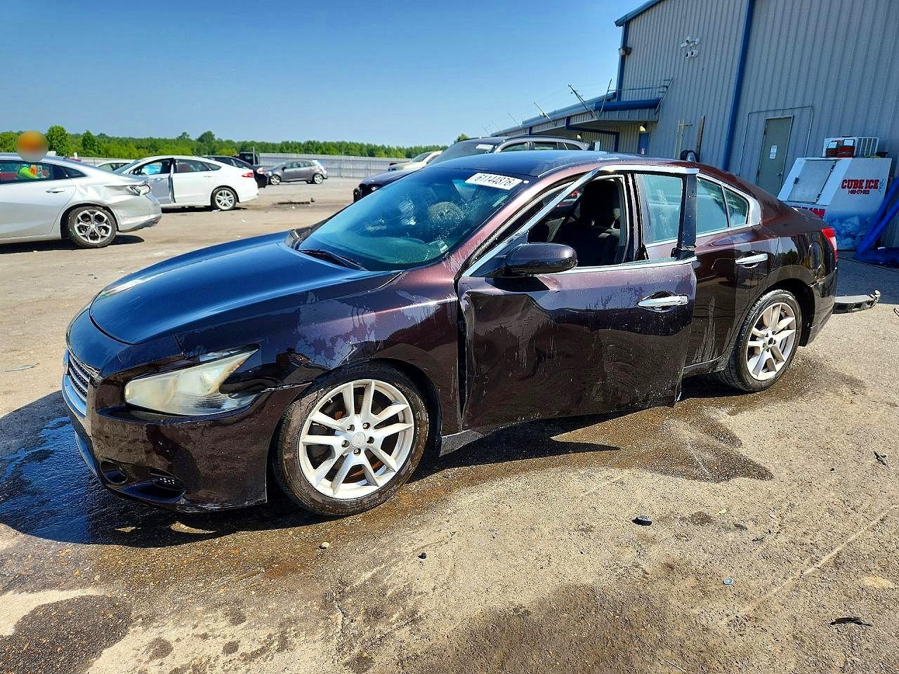 2010 Nissan Maxima 3.5 S Бордовый vin: 1N4AA5AP7AC873924