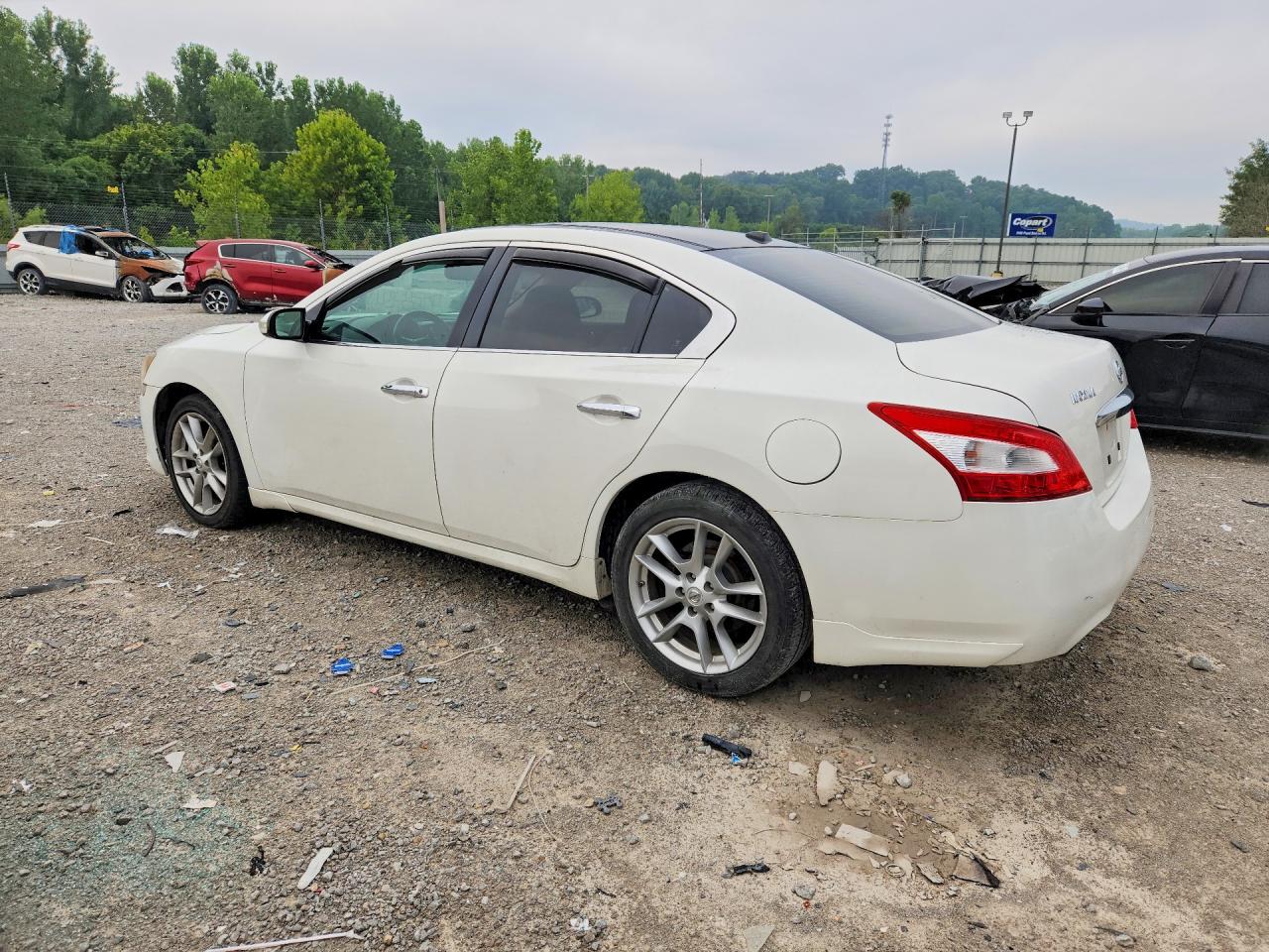 2011 Nissan Maxima 3.5 S White vin: 1N4AA5AP7BC819234