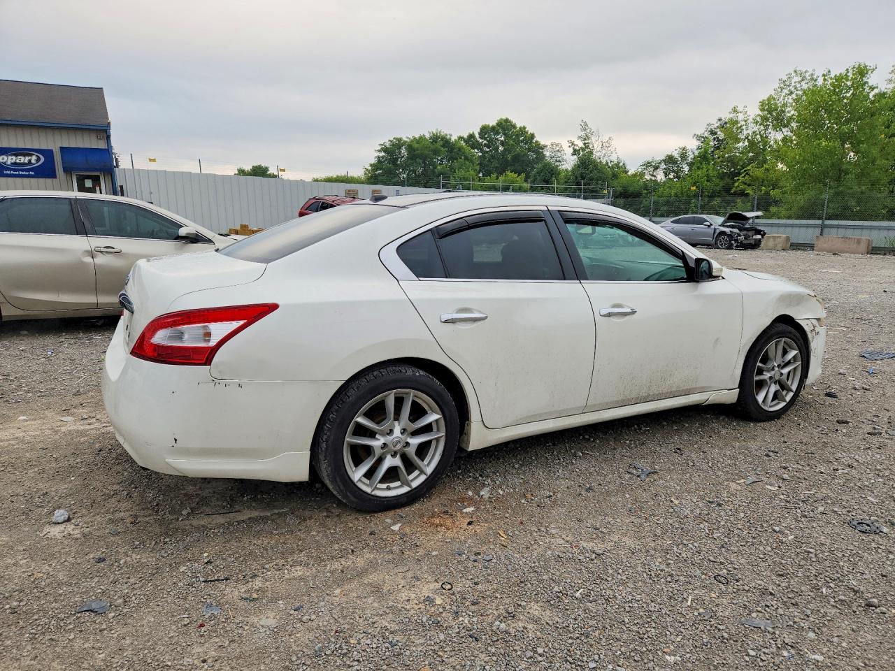 2011 Nissan Maxima 3.5 S White vin: 1N4AA5AP7BC819234