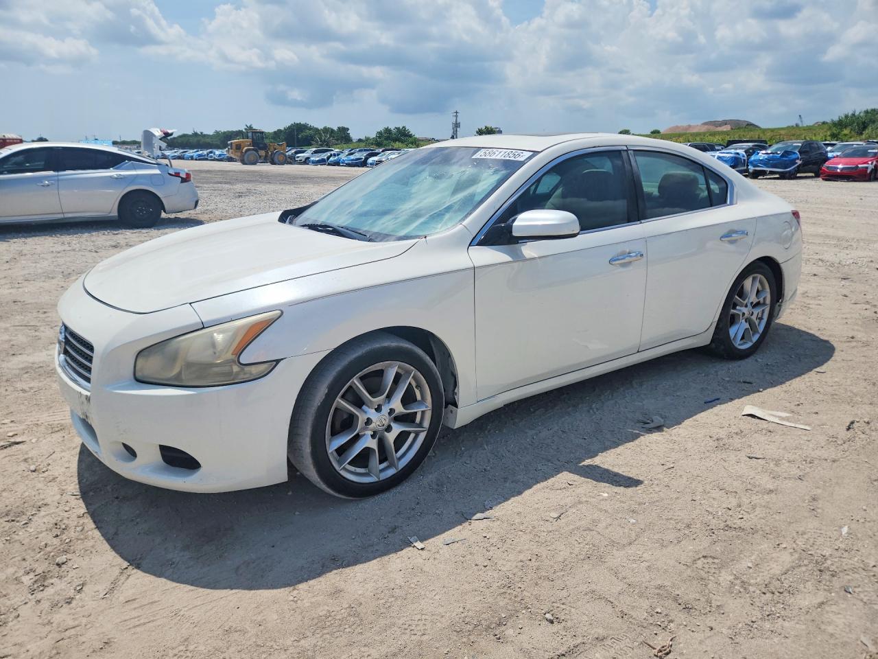 2011 Nissan Maxima White vin: 1N4AA5AP7BC820450