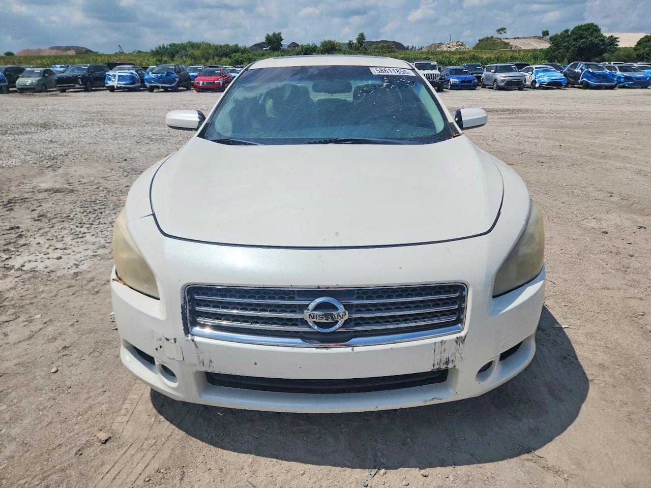 2011 Nissan Maxima White vin: 1N4AA5AP7BC820450