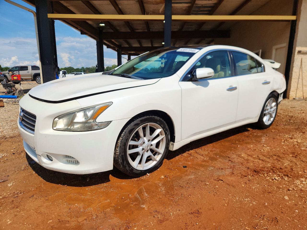 2011 Nissan Maxima 3.5 S White vin: 1N4AA5AP7BC854663
