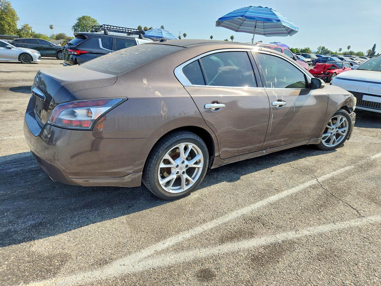 2013 Nissan Maxima 3.5 Sv Brown vin: 1N4AA5AP7DC844119