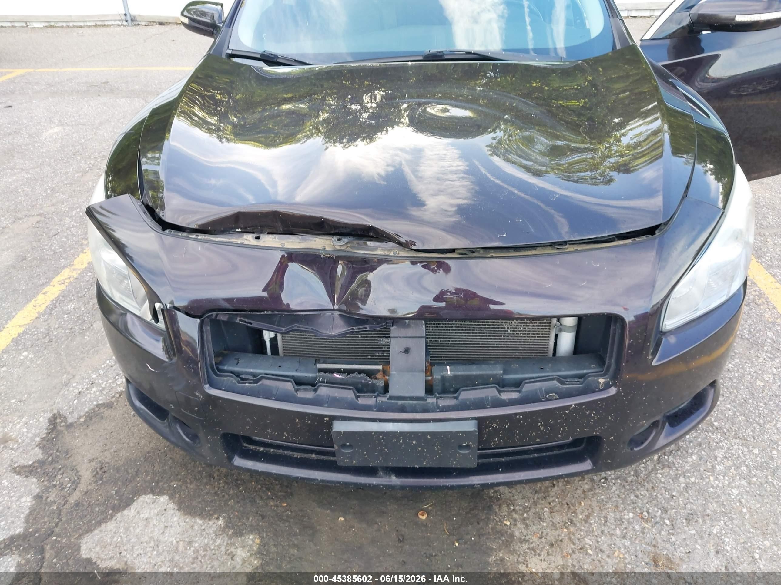 2014 Nissan Maxima 3.5 Sv Purple vin: 1N4AA5AP7EC438309