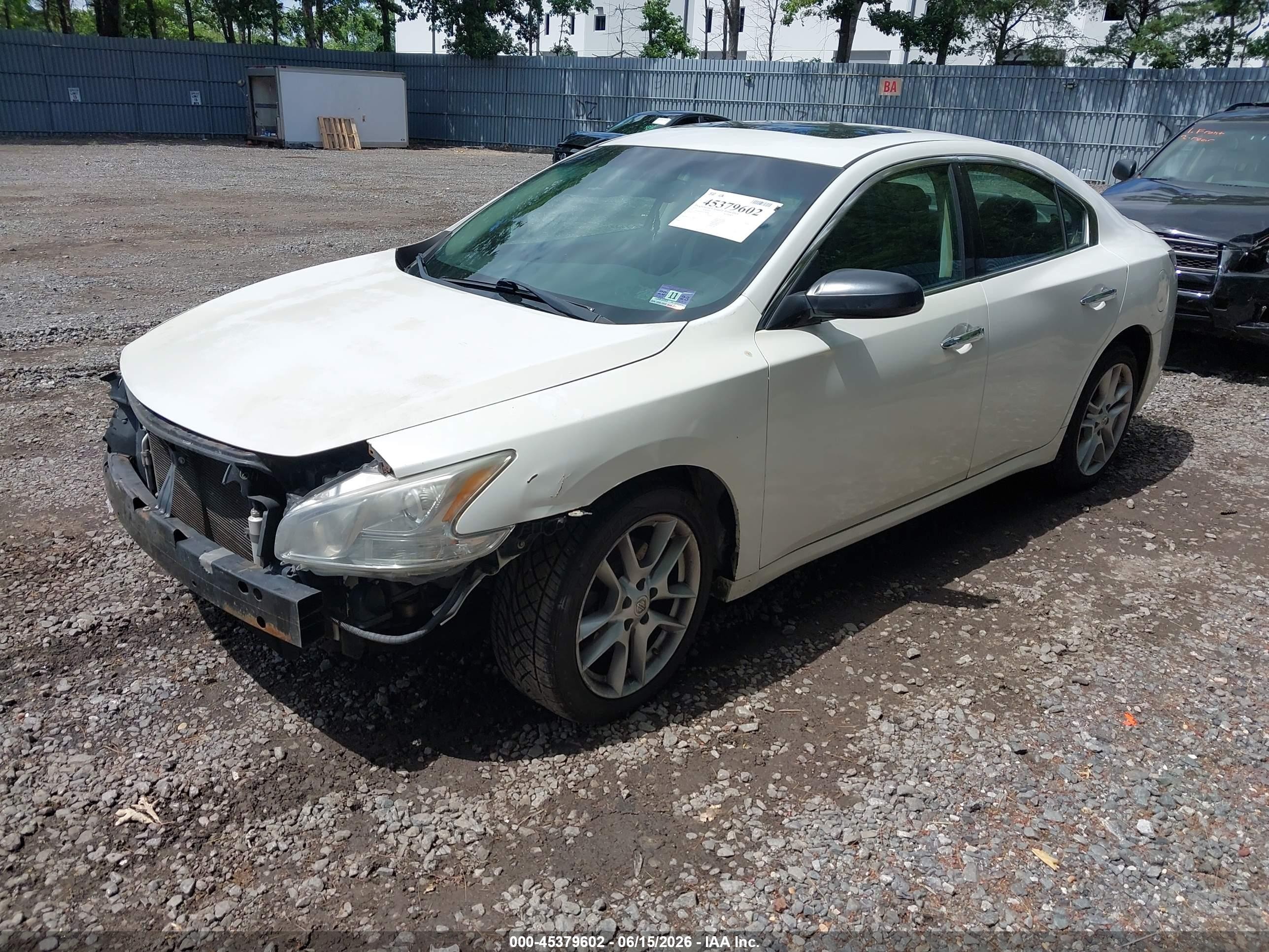 2014 Nissan Maxima   White vin: 1N4AA5AP7EC466482