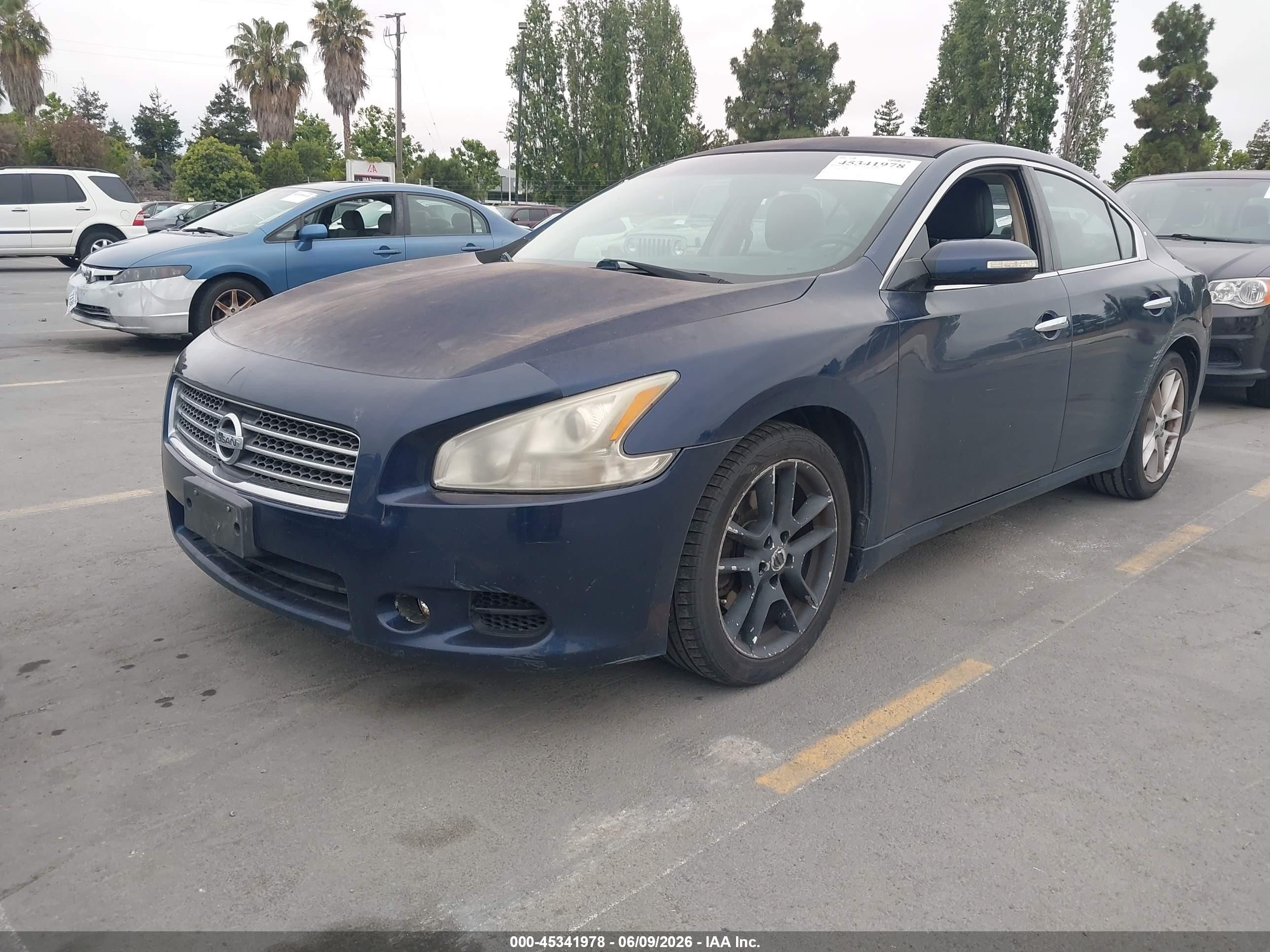 2010 Nissan Maxima 3.5 Sv Blue vin: 1N4AA5AP8AC822321