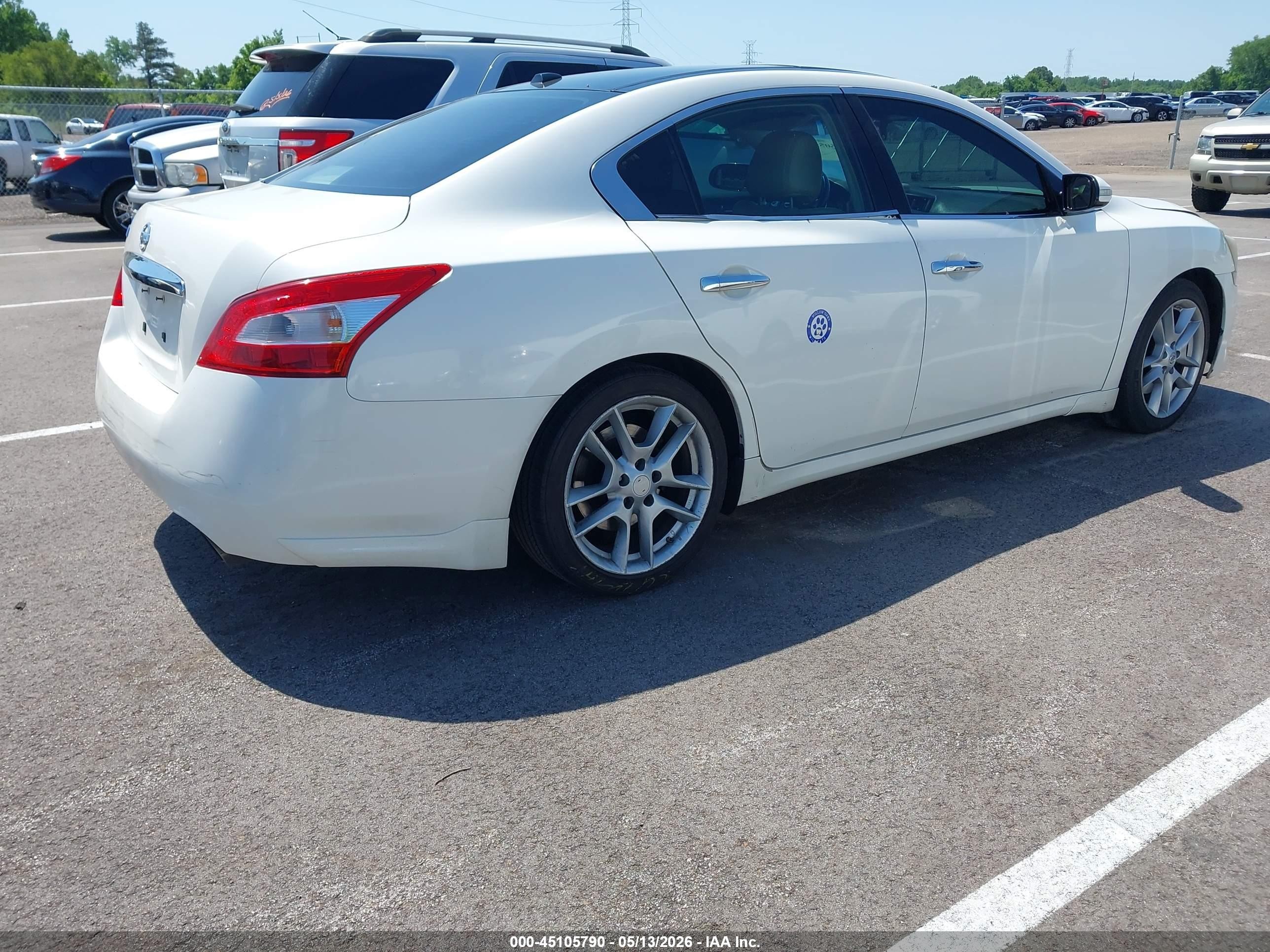 2010 Nissan Maxima 3.5 Sv Белый vin: 1N4AA5AP8AC826384