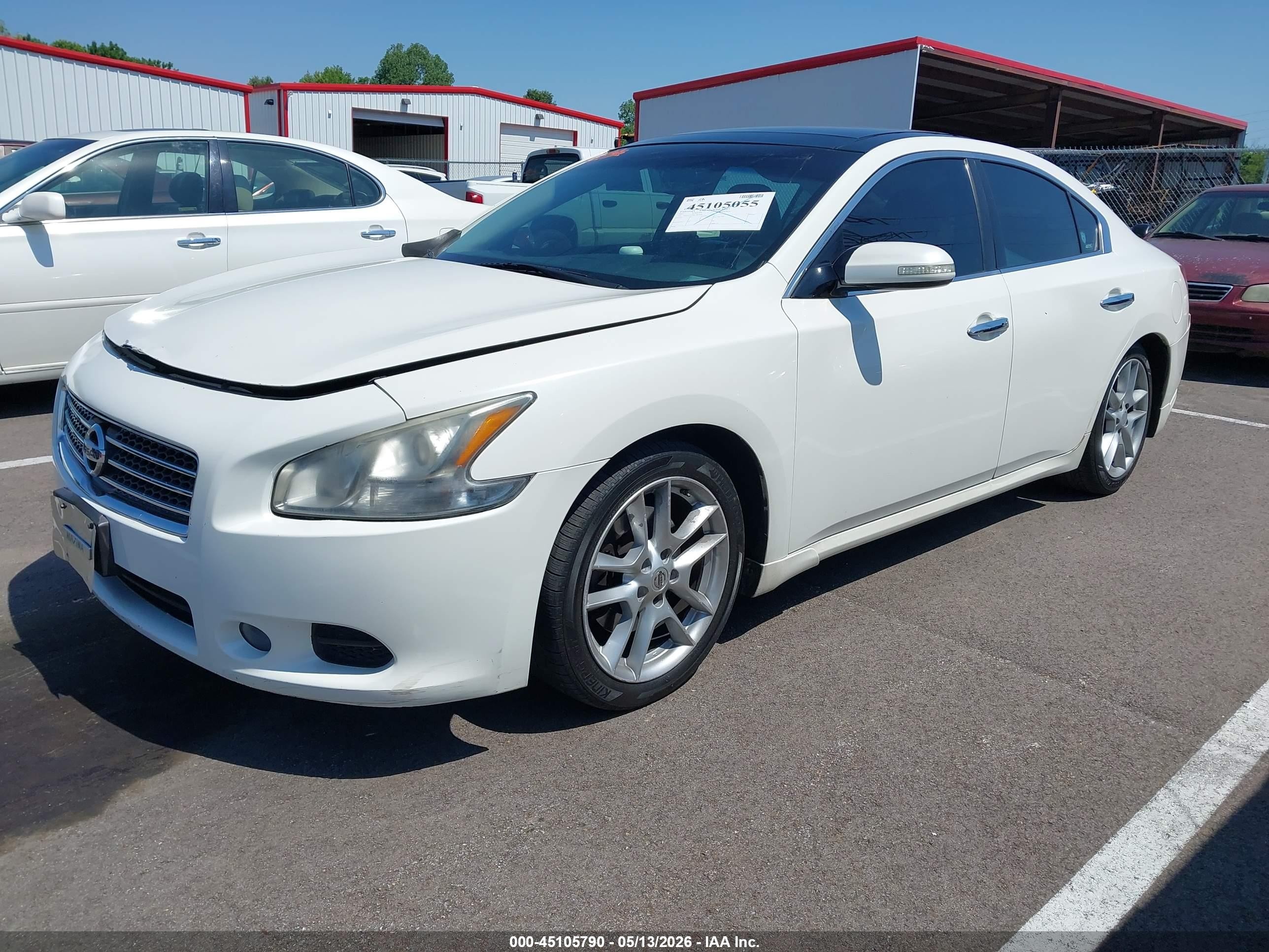 2010 Nissan Maxima 3.5 Sv Белый vin: 1N4AA5AP8AC826384