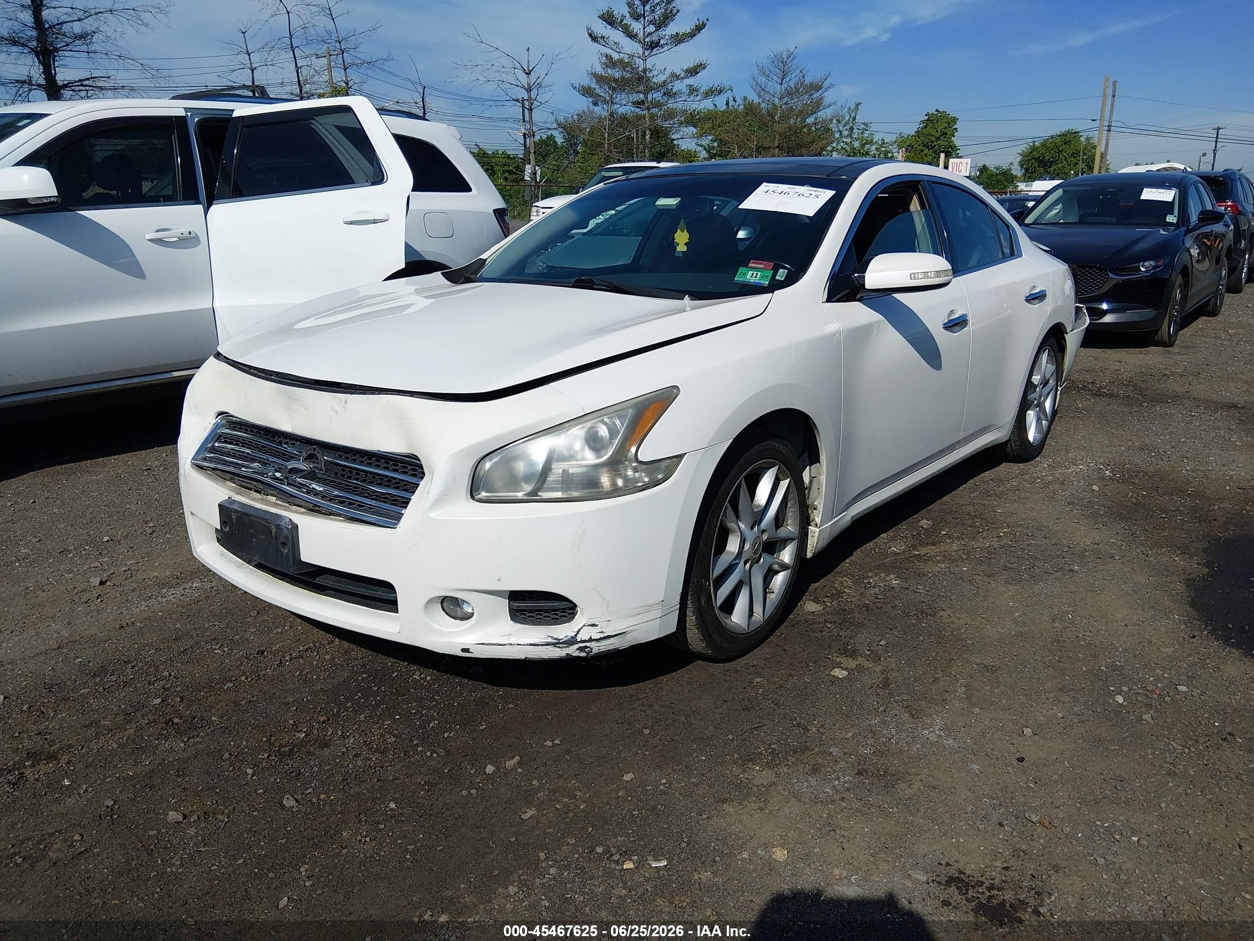 2010 Nissan Maxima 3.5 Sv Белый vin: 1N4AA5AP8AC827955