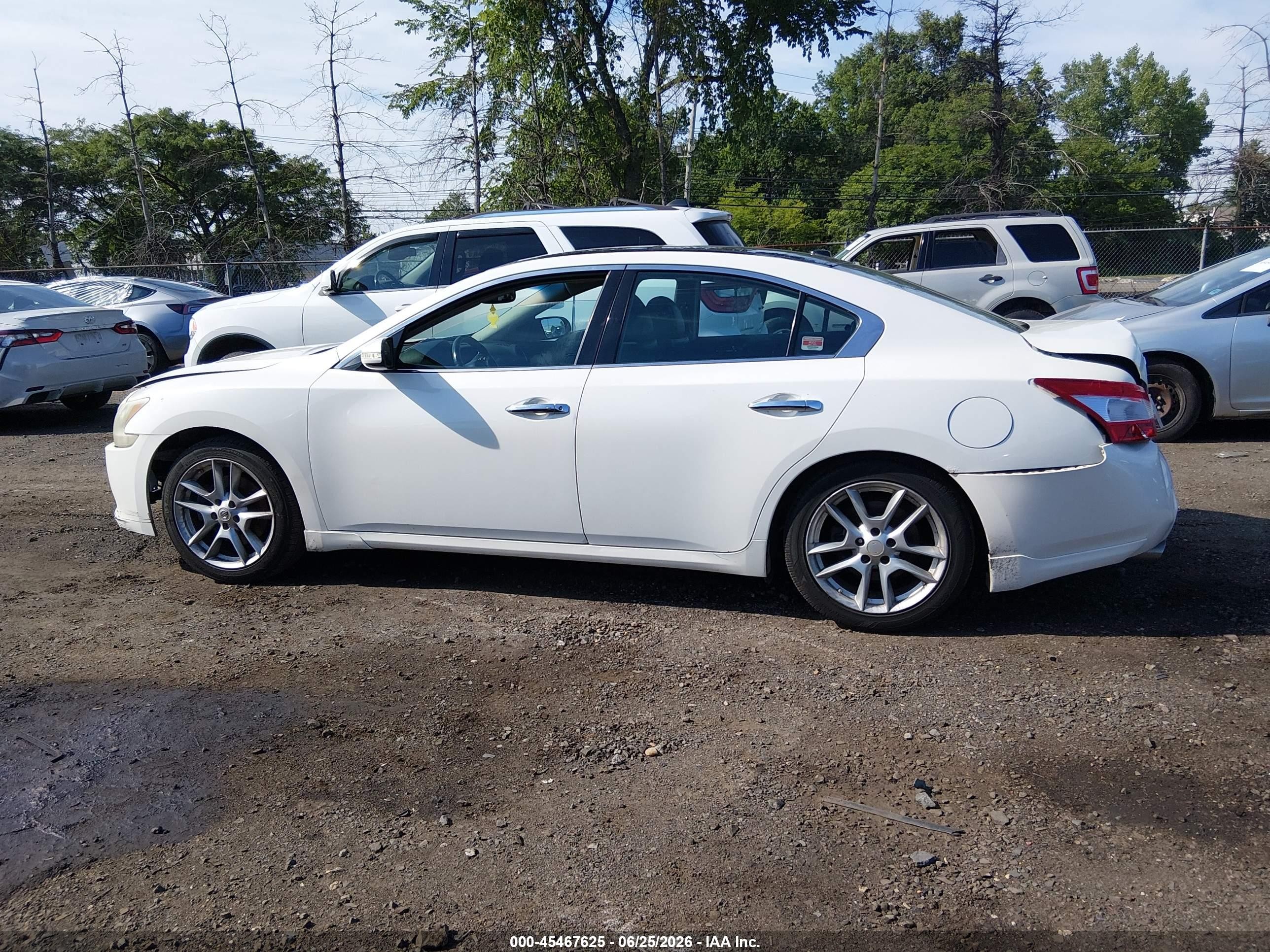 2010 Nissan Maxima 3.5 Sv Белый vin: 1N4AA5AP8AC827955