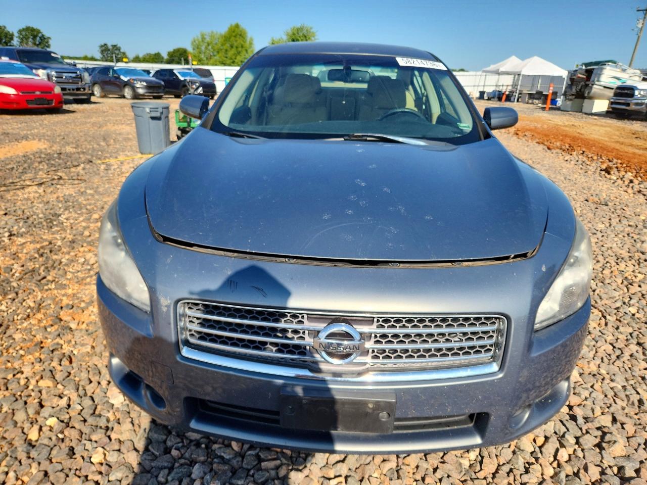 2010 Niss Maxima Blue vin: 1N4AA5AP8AC850765