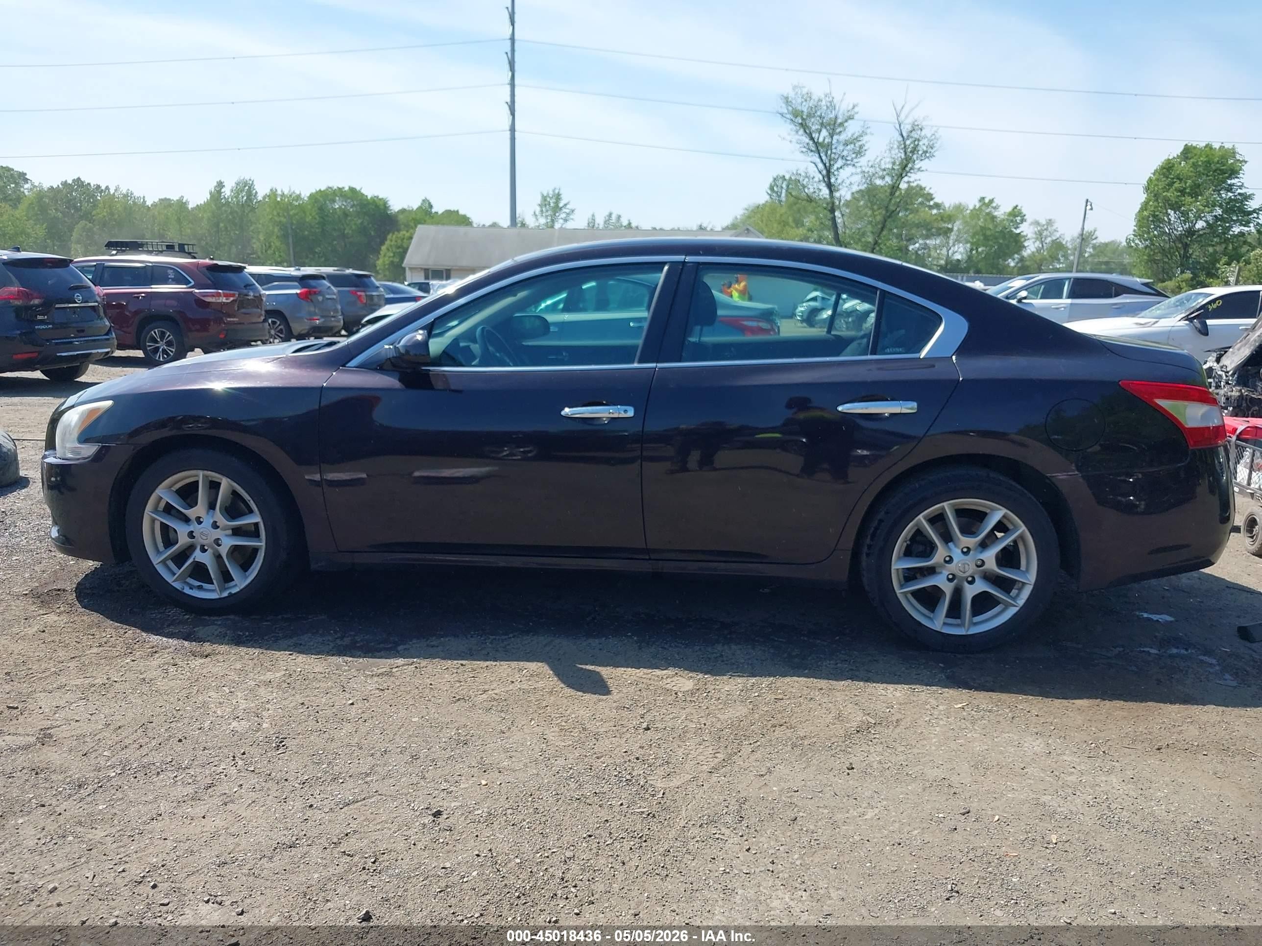 2010 Nissan Maxima 3.5 S Бордовый vin: 1N4AA5AP8AC862852