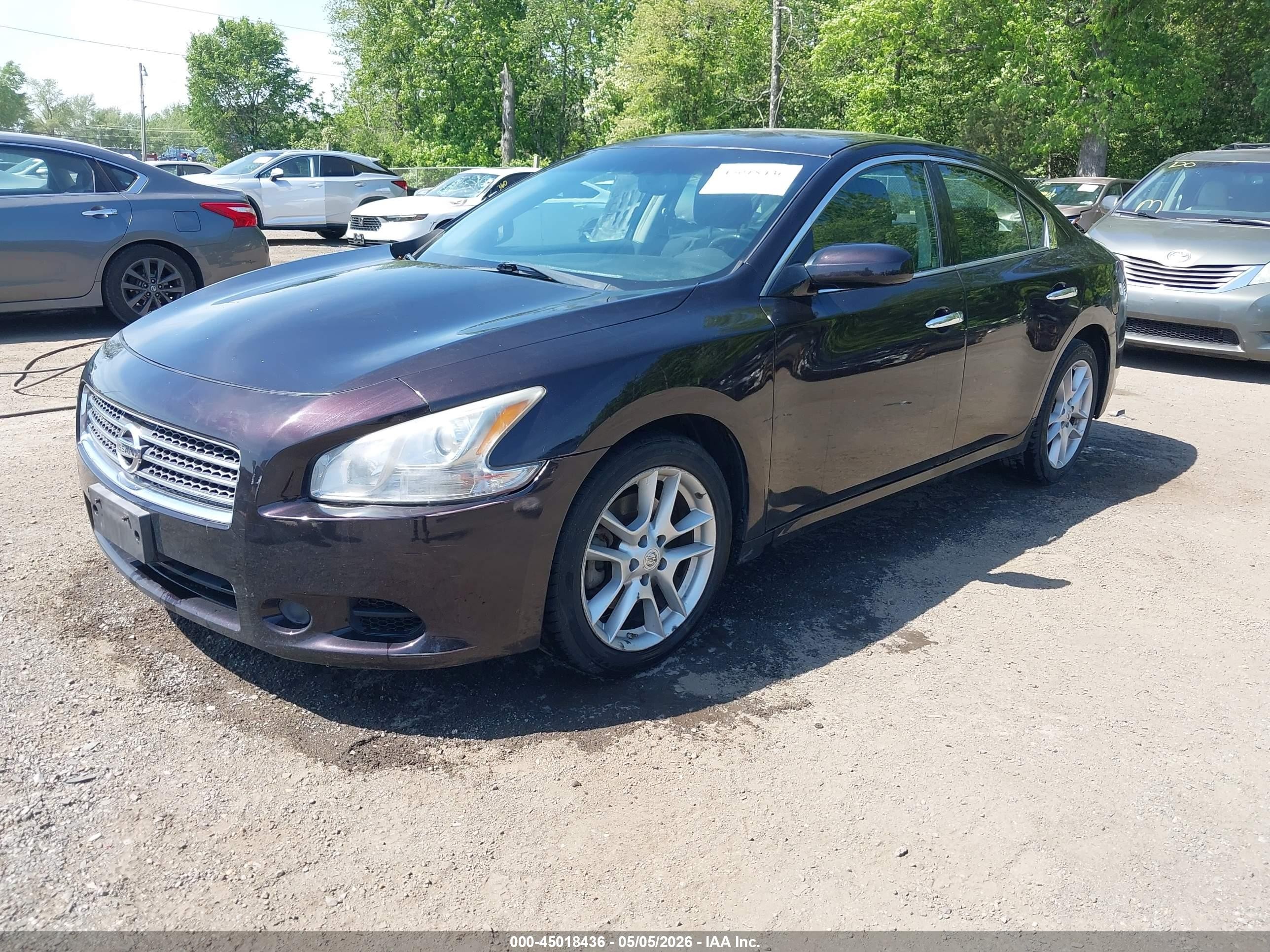 2010 Nissan Maxima 3.5 S Бордовый vin: 1N4AA5AP8AC862852