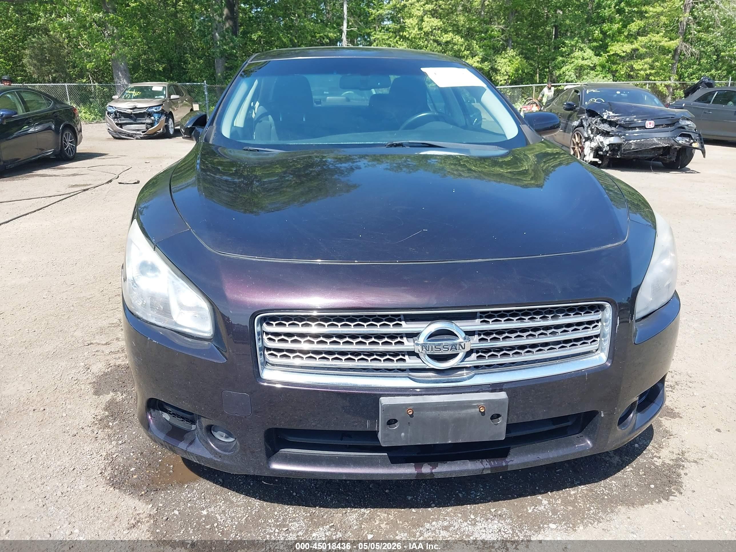 2010 Nissan Maxima 3.5 S Бордовый vin: 1N4AA5AP8AC862852
