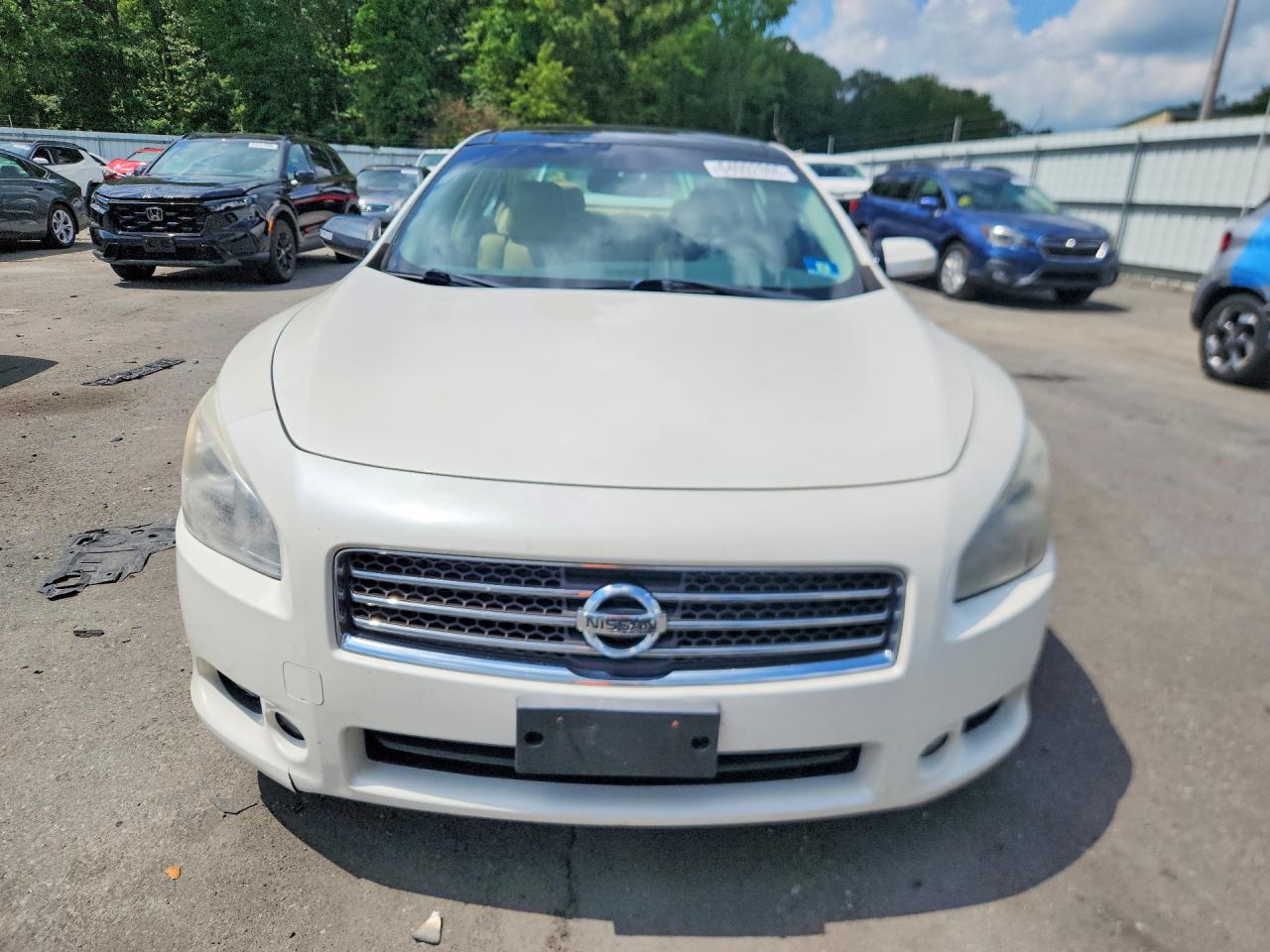 2010 Nissan Maxima 3.5 S Белый vin: 1N4AA5AP8AC874077