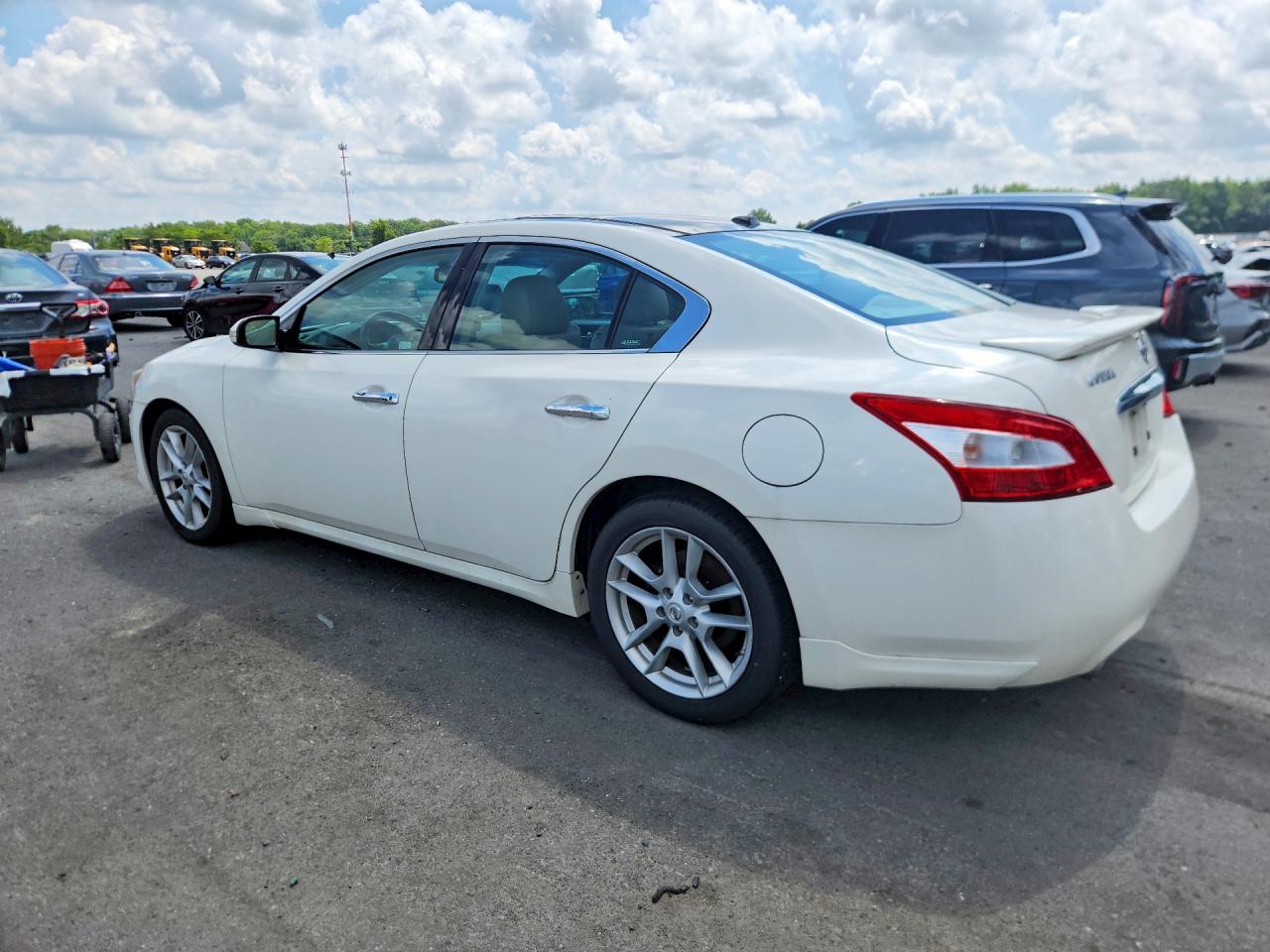 2010 Nissan Maxima 3.5 S Белый vin: 1N4AA5AP8AC874077
