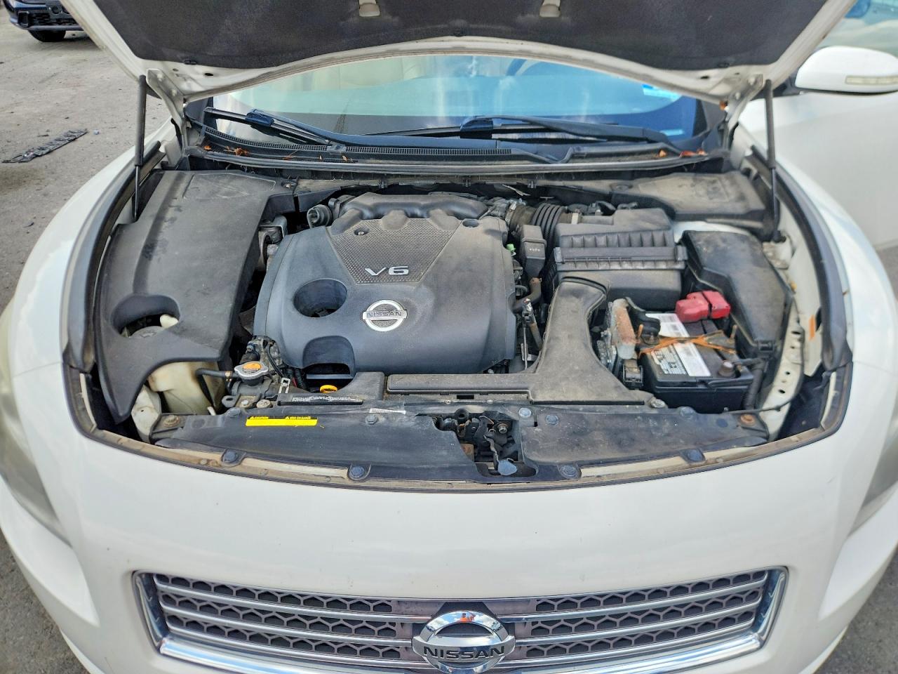 2010 Nissan Maxima 3.5 S Белый vin: 1N4AA5AP8AC874077