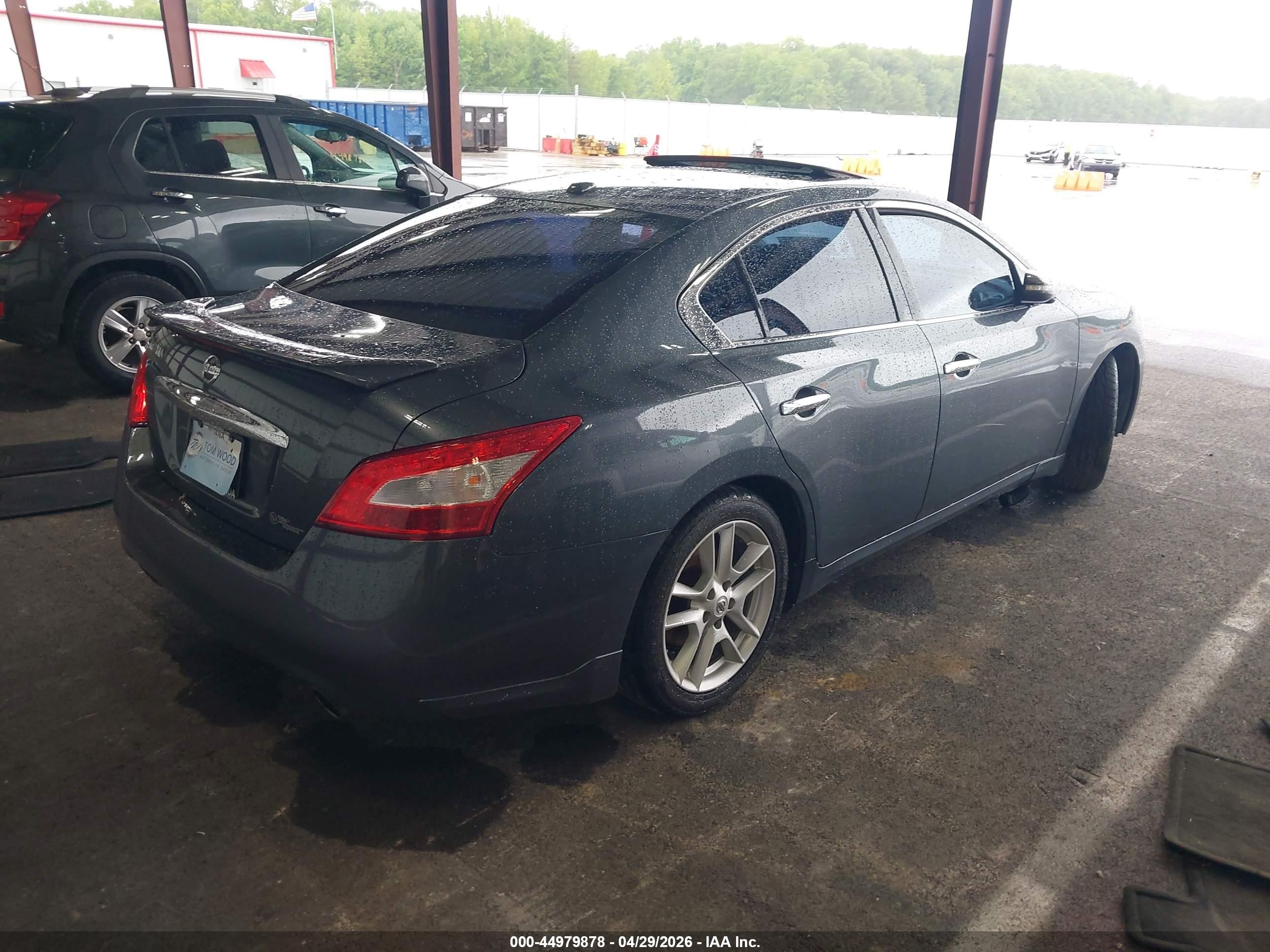 2011 Nissan Maxima 3.5 Sv Серый vin: 1N4AA5AP8BC846832