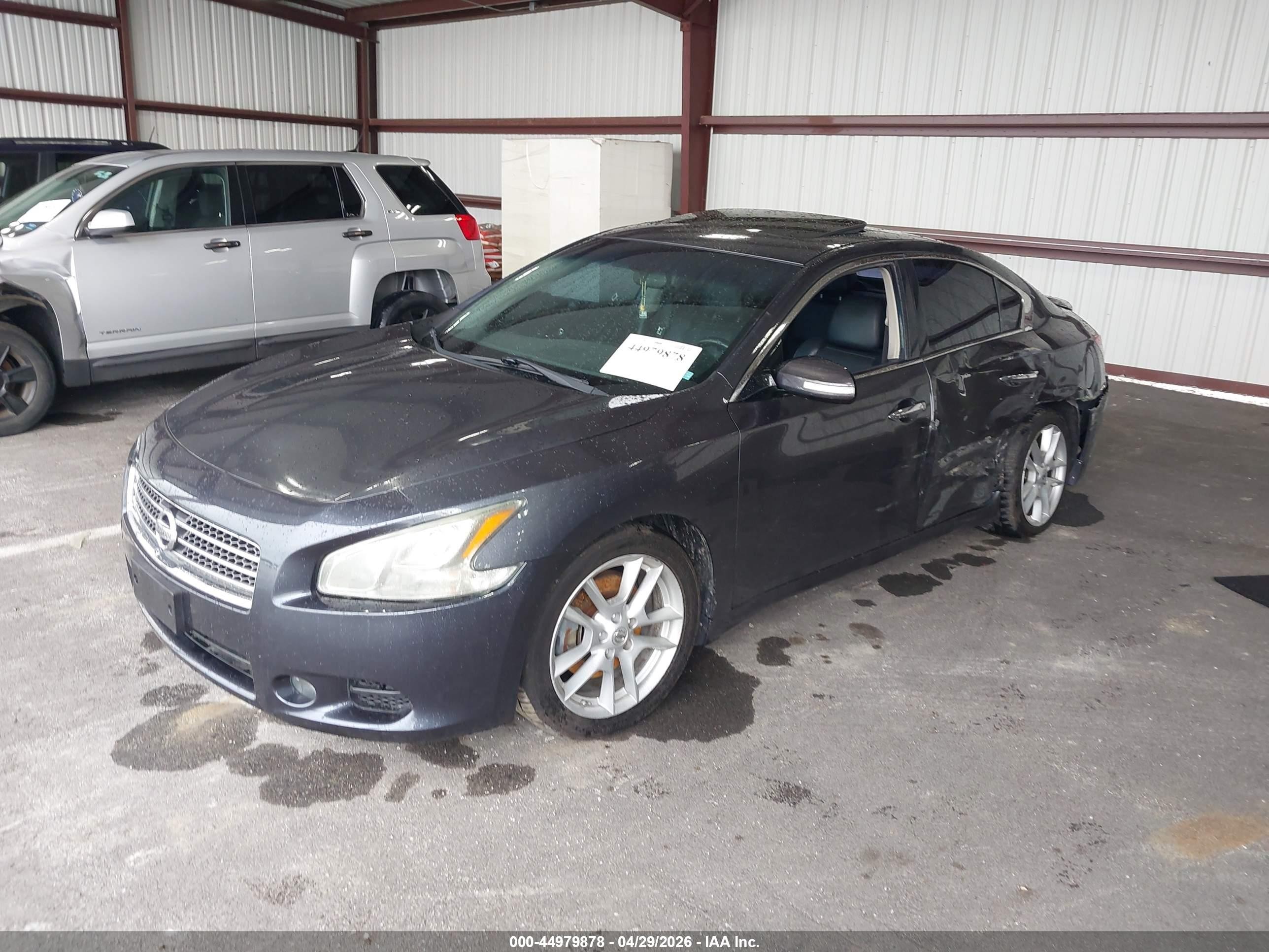 2011 Nissan Maxima 3.5 Sv Серый vin: 1N4AA5AP8BC846832