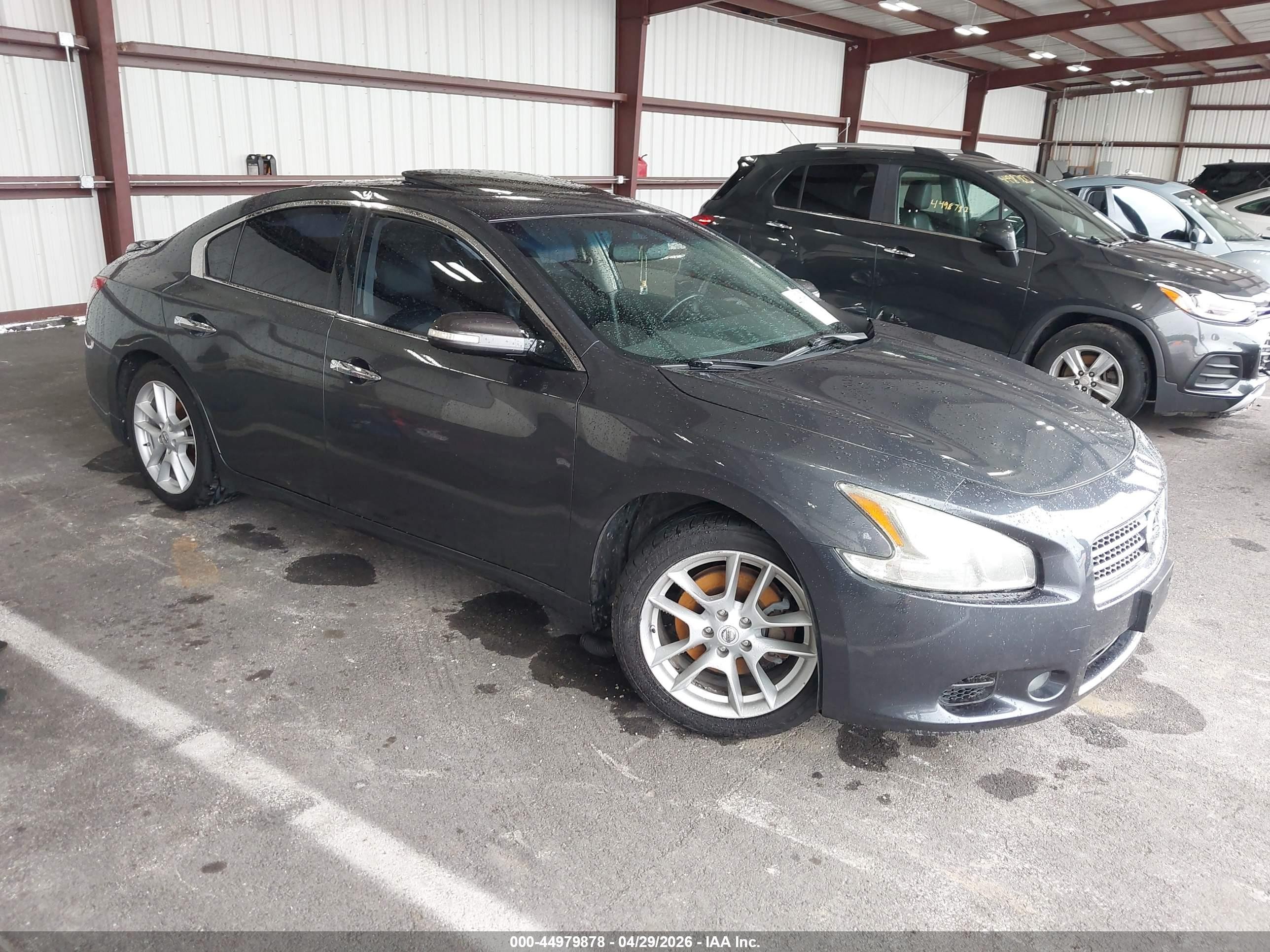 2011 Nissan Maxima 3.5 Sv Gray vin: 1N4AA5AP8BC846832