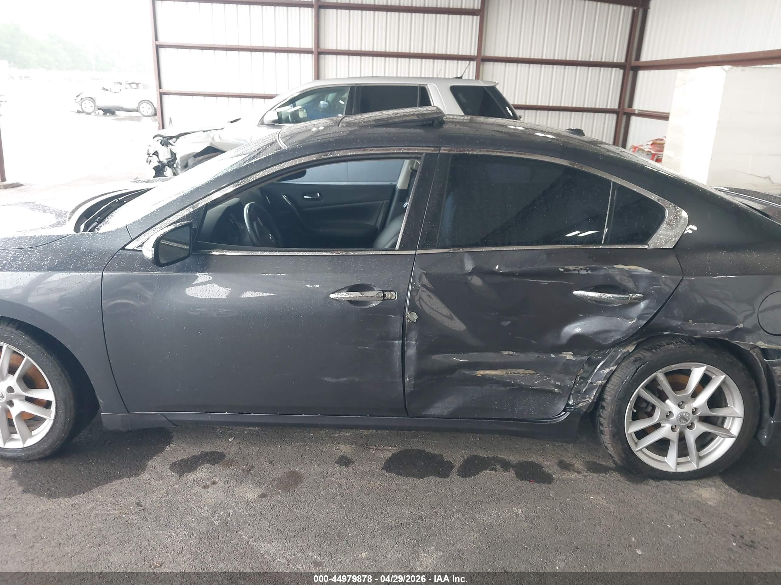 2011 Nissan Maxima 3.5 Sv Серый vin: 1N4AA5AP8BC846832