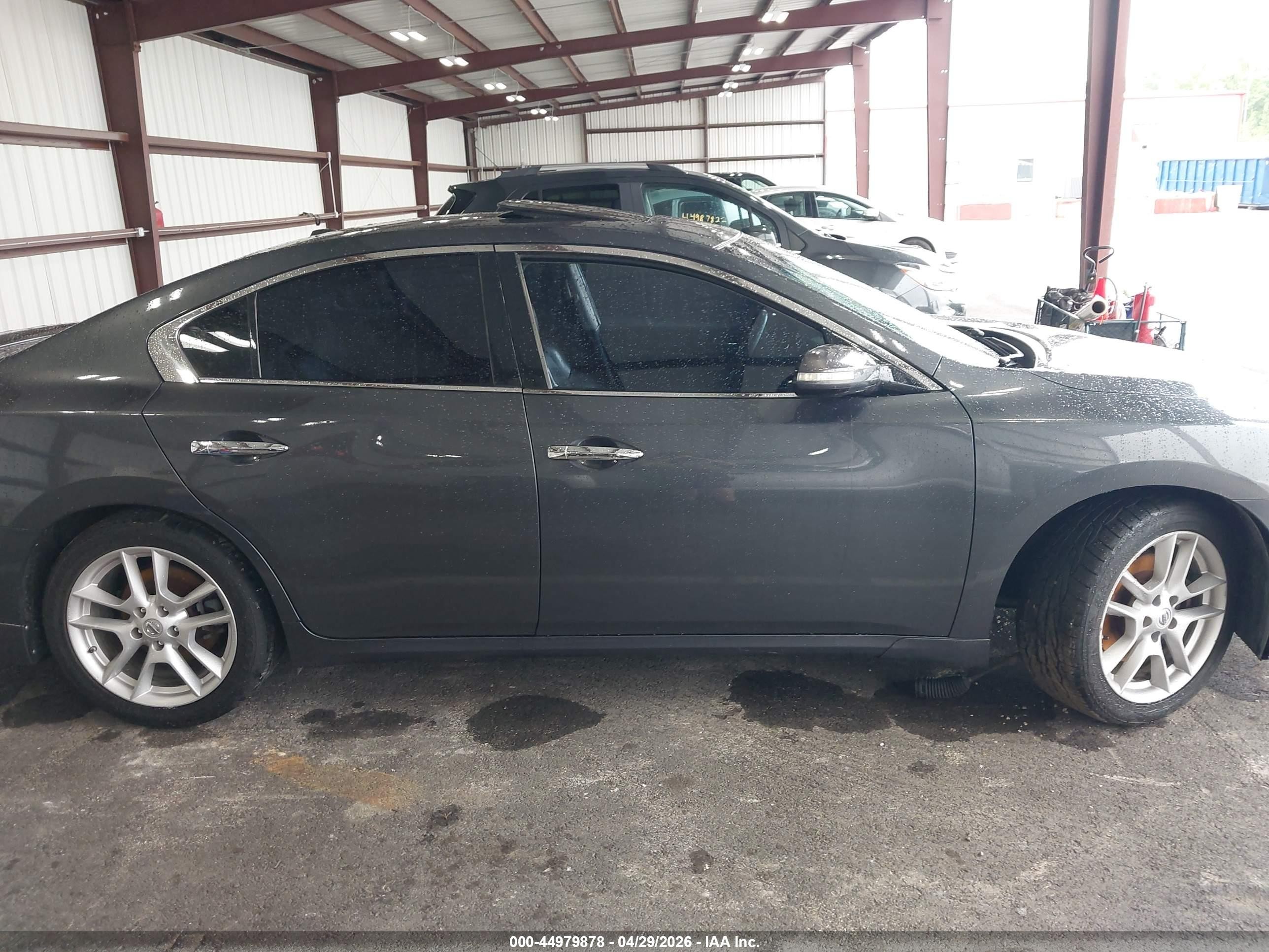 2011 Nissan Maxima 3.5 Sv Серый vin: 1N4AA5AP8BC846832