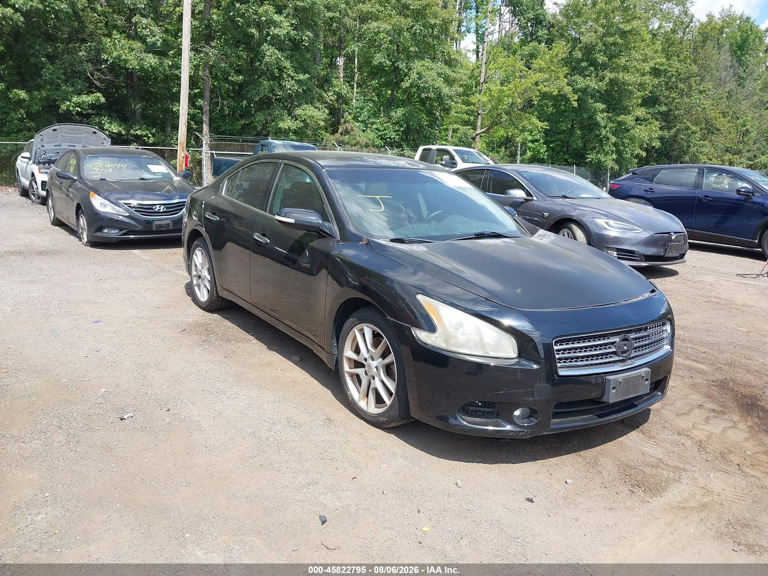 2011 Nissan Maxima 3.5 Sv Black vin: 1N4AA5AP8BC850735