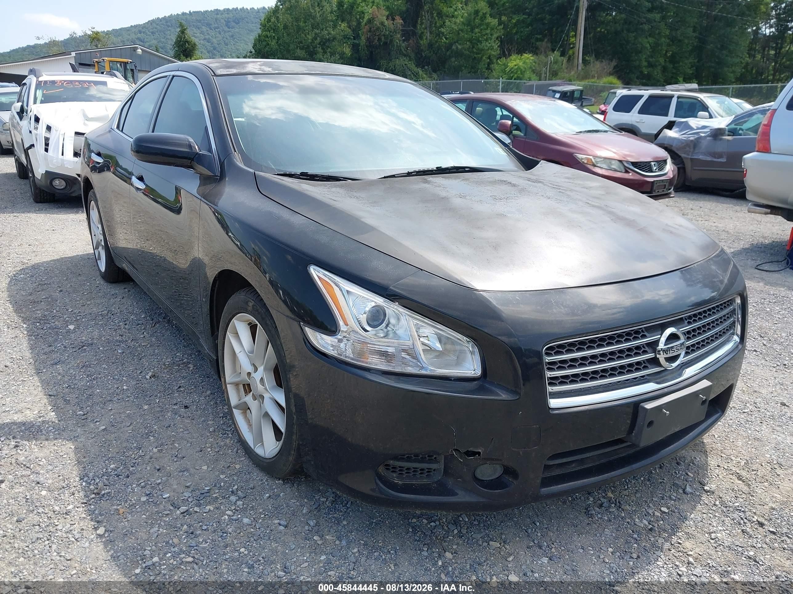 2011 Nissan Maxima 3.5 S Черный vin: 1N4AA5AP8BC853375