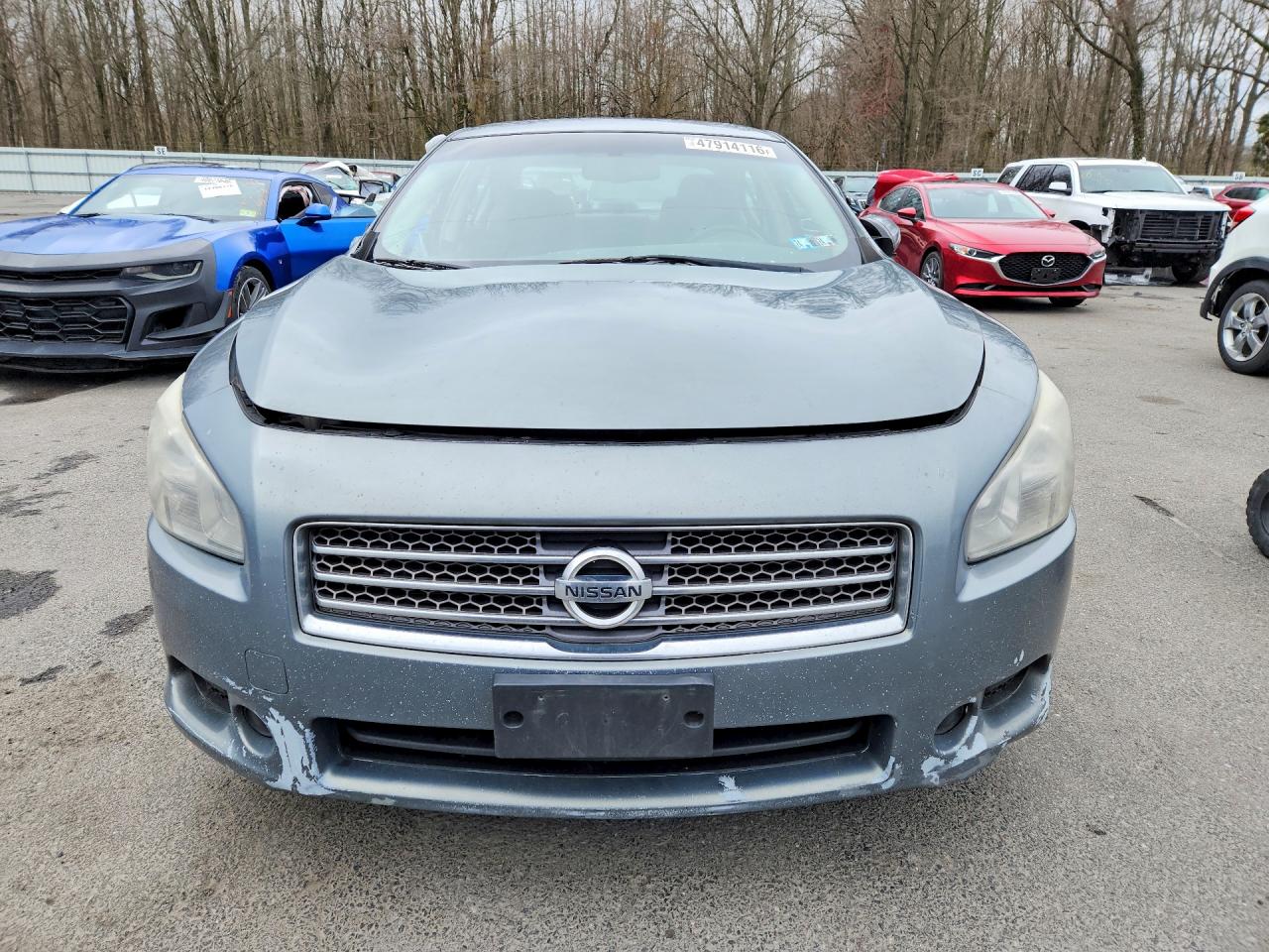 2011 Nissan Maxima 3.5 S Silver vin: 1N4AA5AP8BC857779