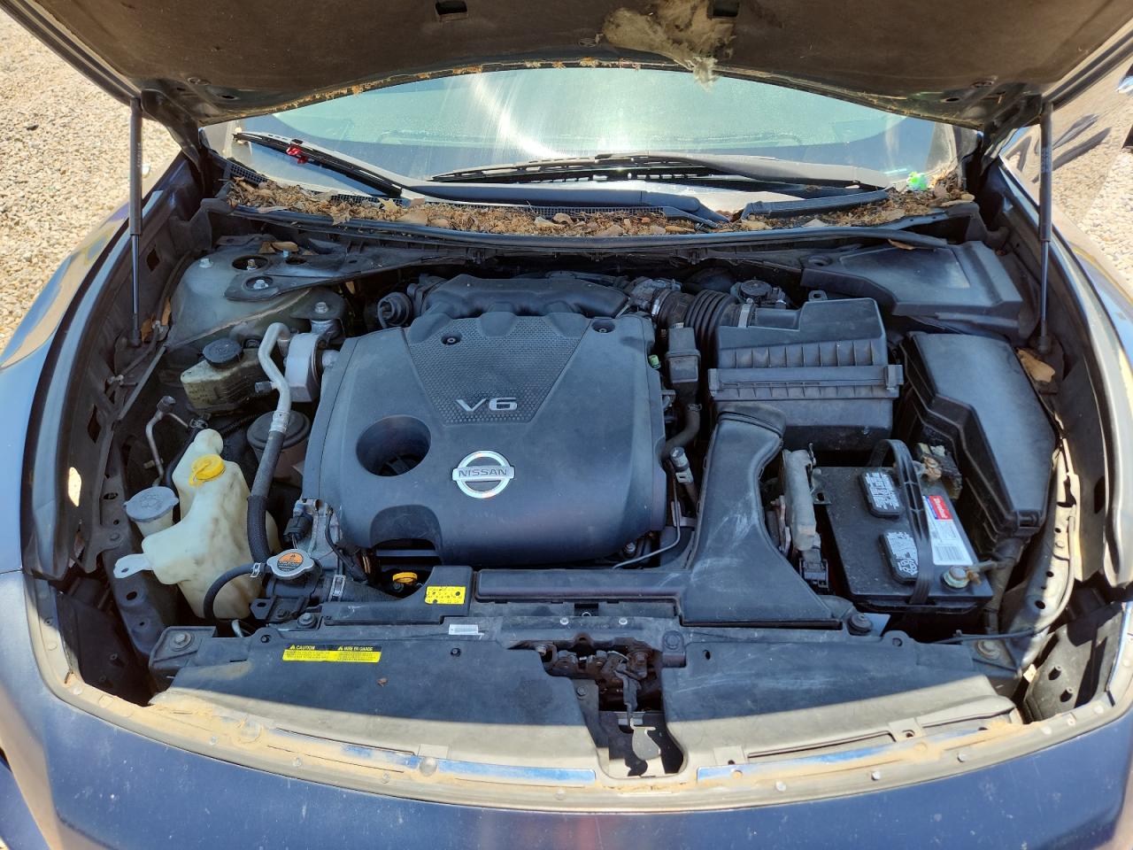 2013 Nissan Maxima 3.5 S Blue vin: 1N4AA5AP8DC802526