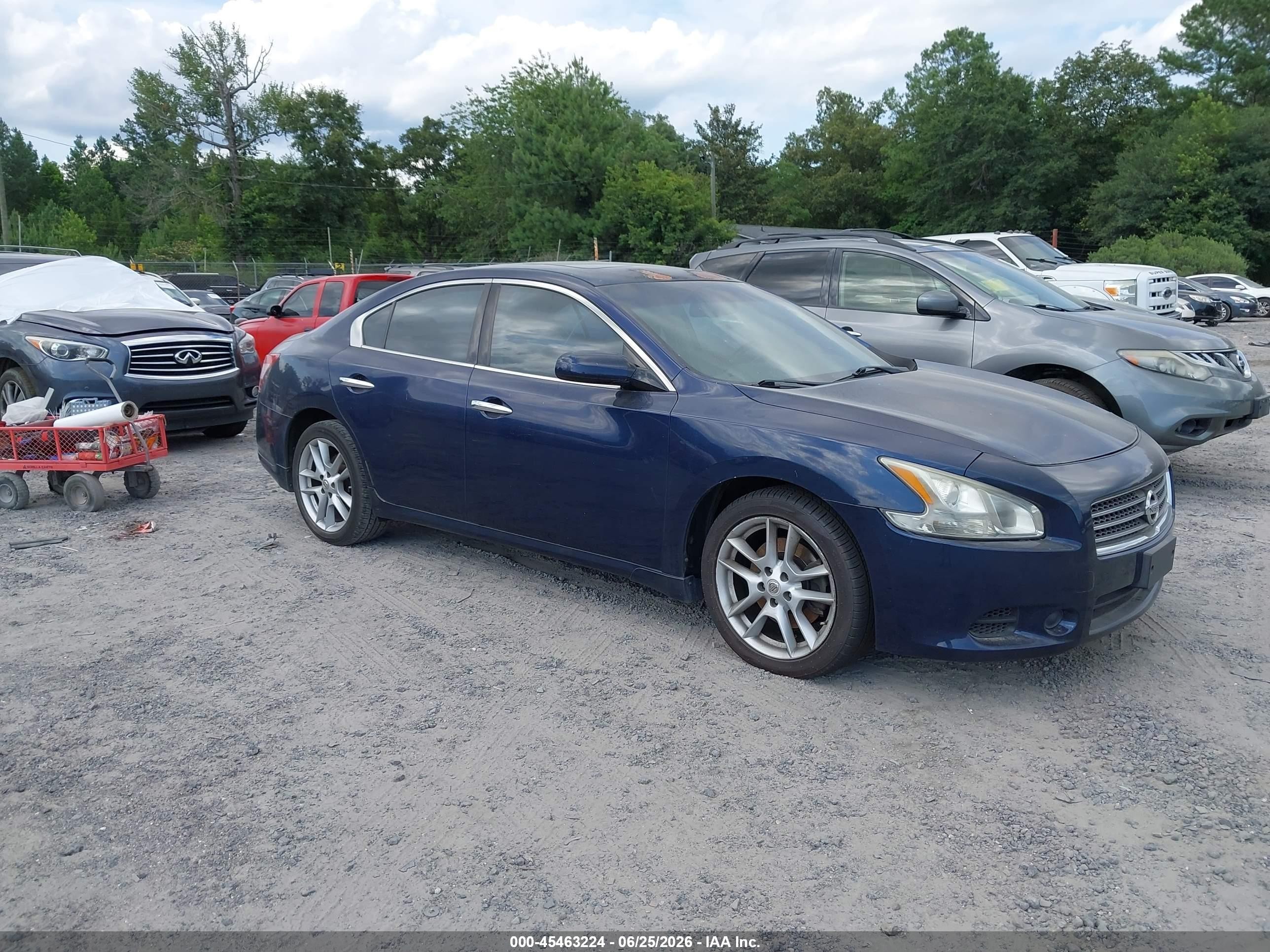2010 Nissan Maxima 3.5 S Blue vin: 1N4AA5AP9AC839130